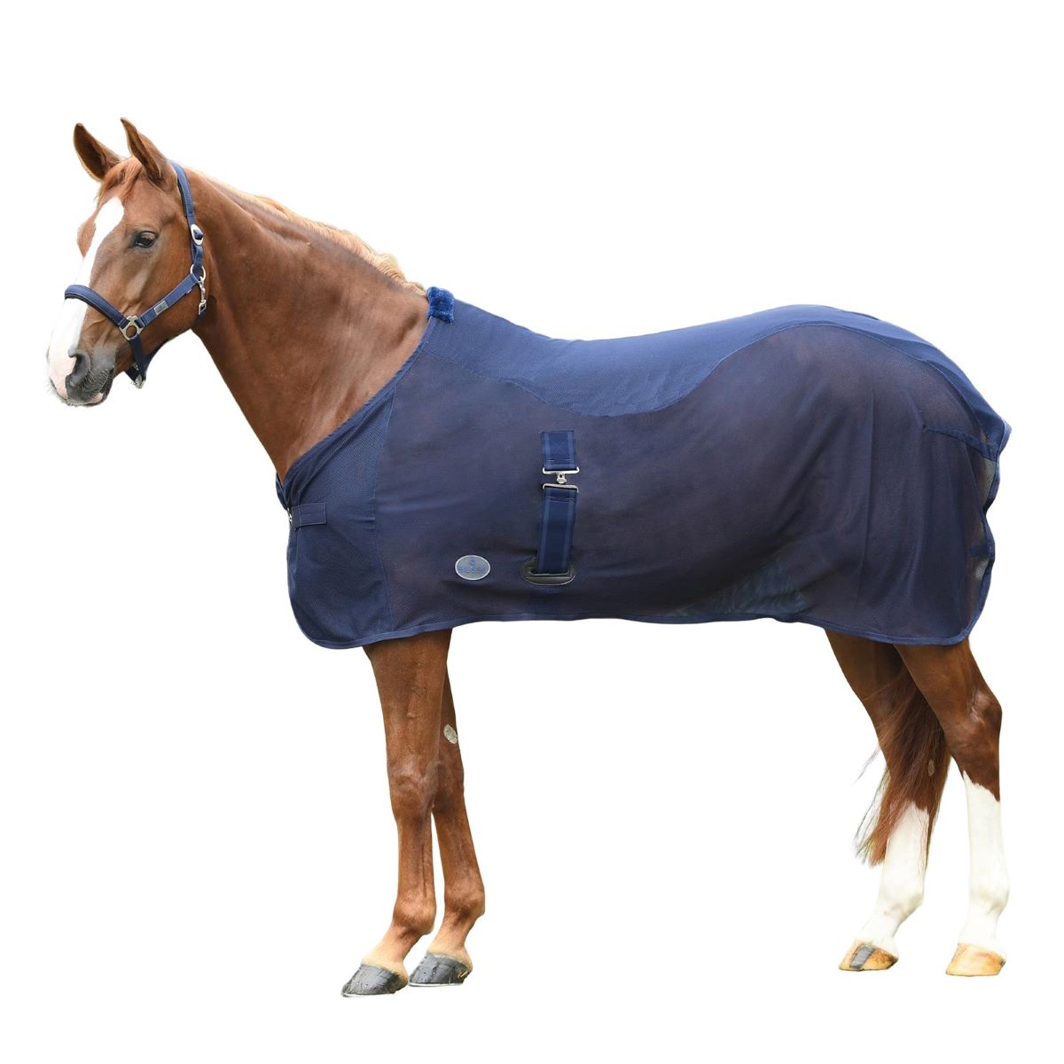 BUSSE Cooler SUMMER-FLY II navy 125