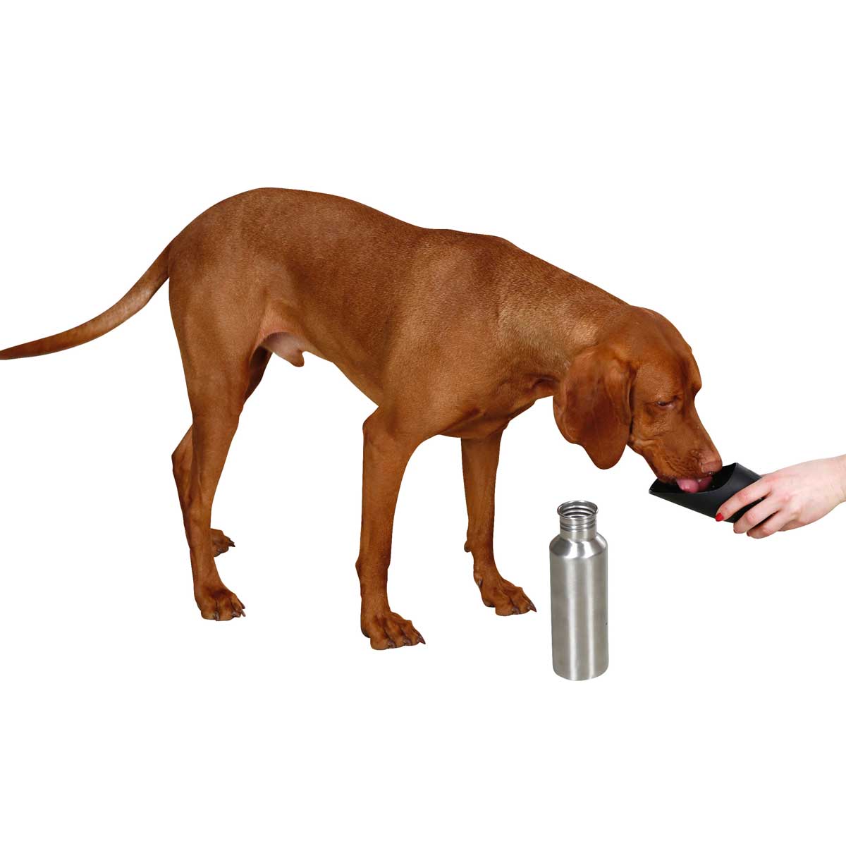 Stainless steel Mobile Wather Bowl, 750ml