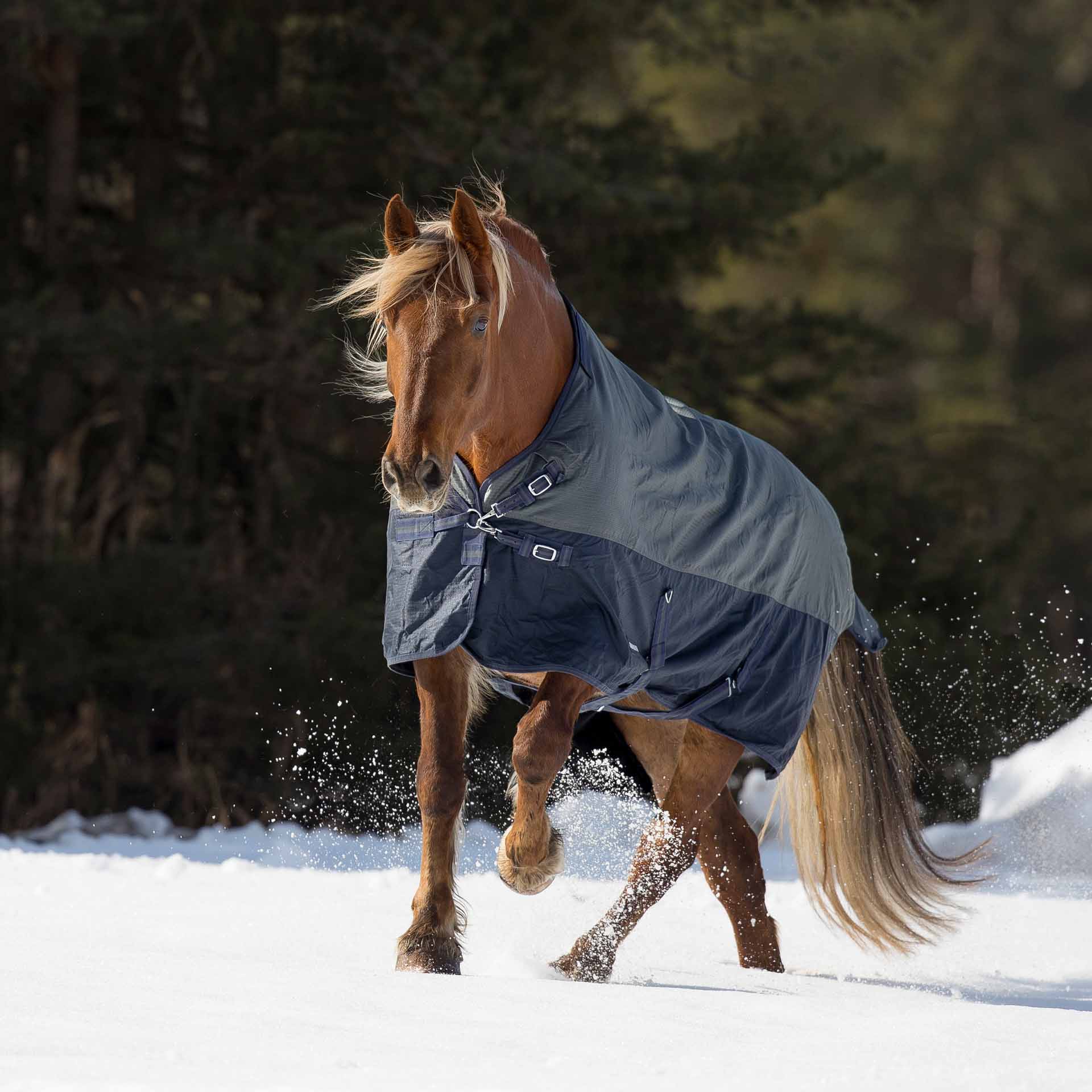 BUSSE Turnout Rug ACTIVE PRO 150 115 anthracite