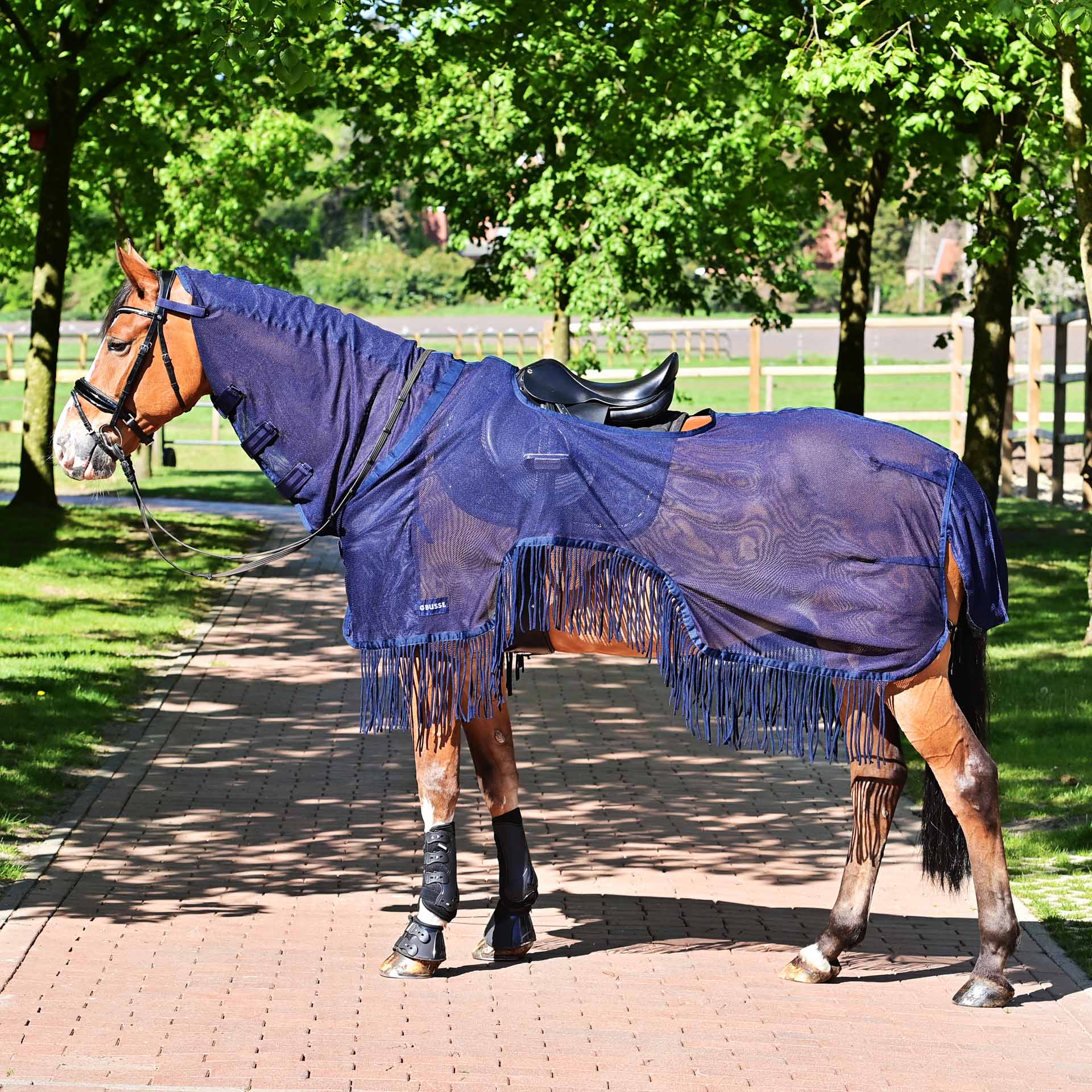 BUSSE Exercise Fly Sheet MOSKITO-FRANSEN III 115 navy