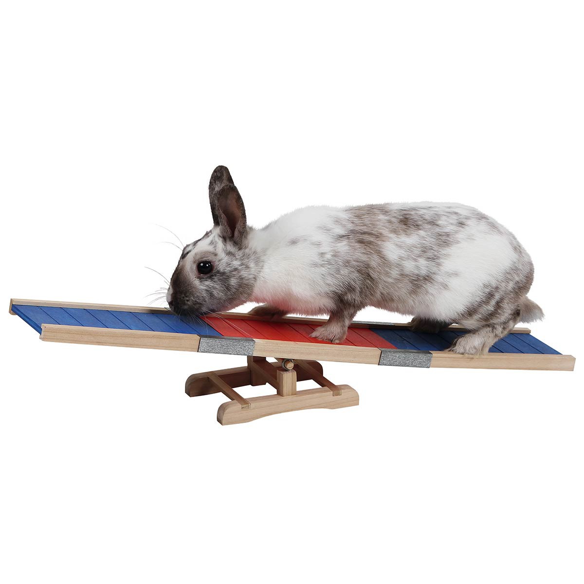 Agility Rocker 60x18x12 cm