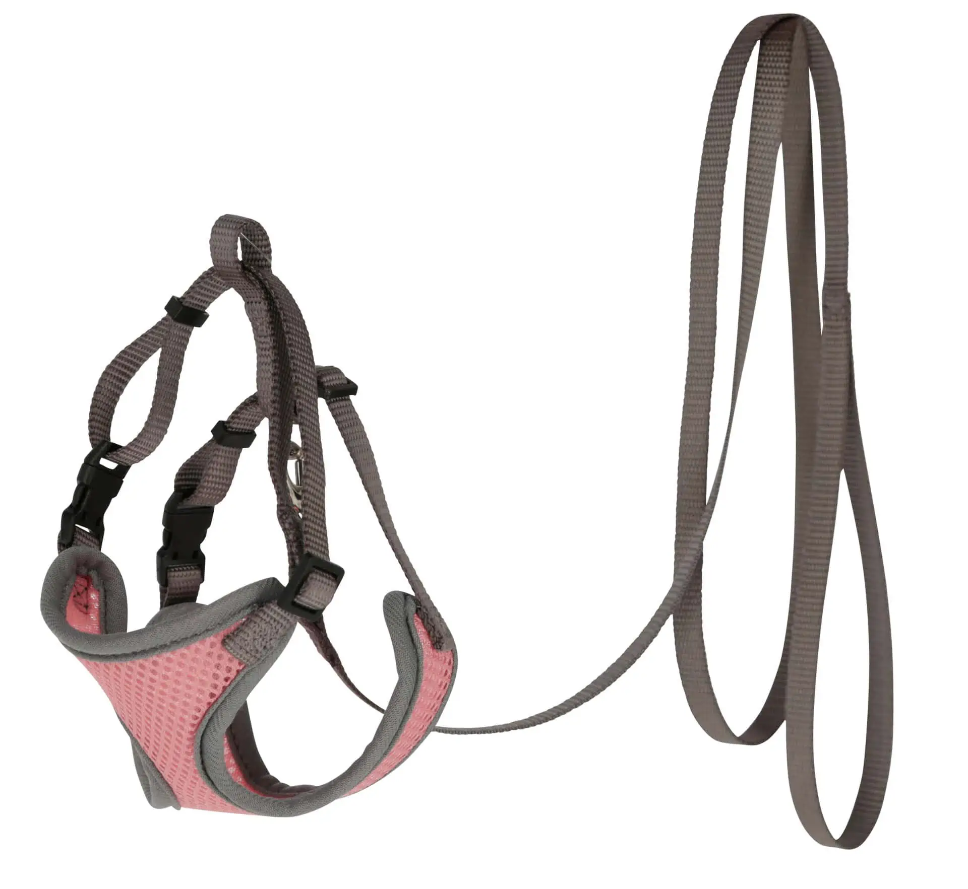 Cat harness with leash