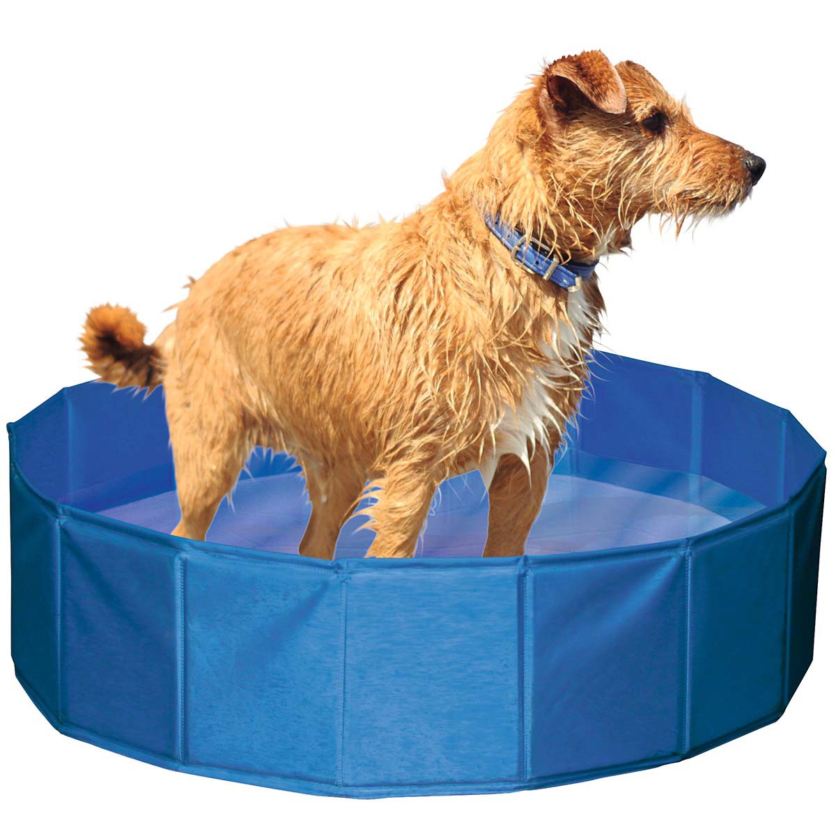 Dog pool Ø80 cm height 20 cm