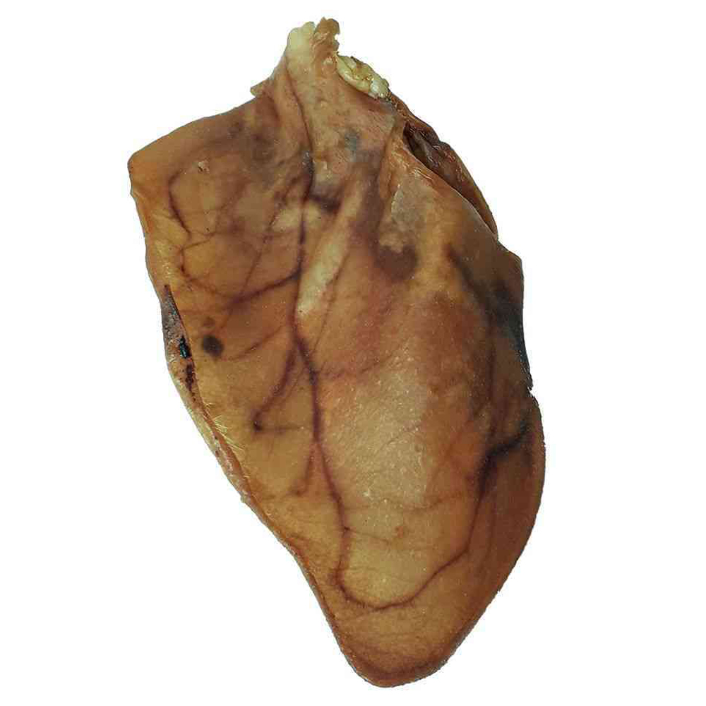 Dog Snack Pig Ears XXL