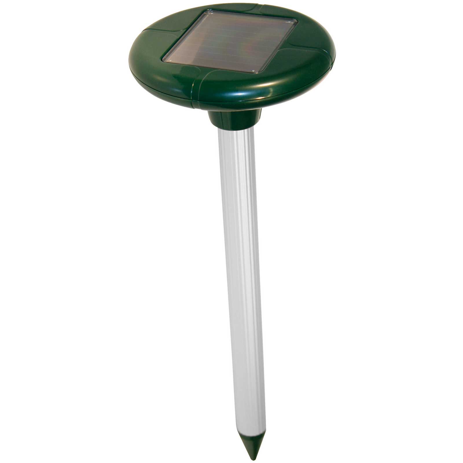 Vole Chaser Pulsar Solar