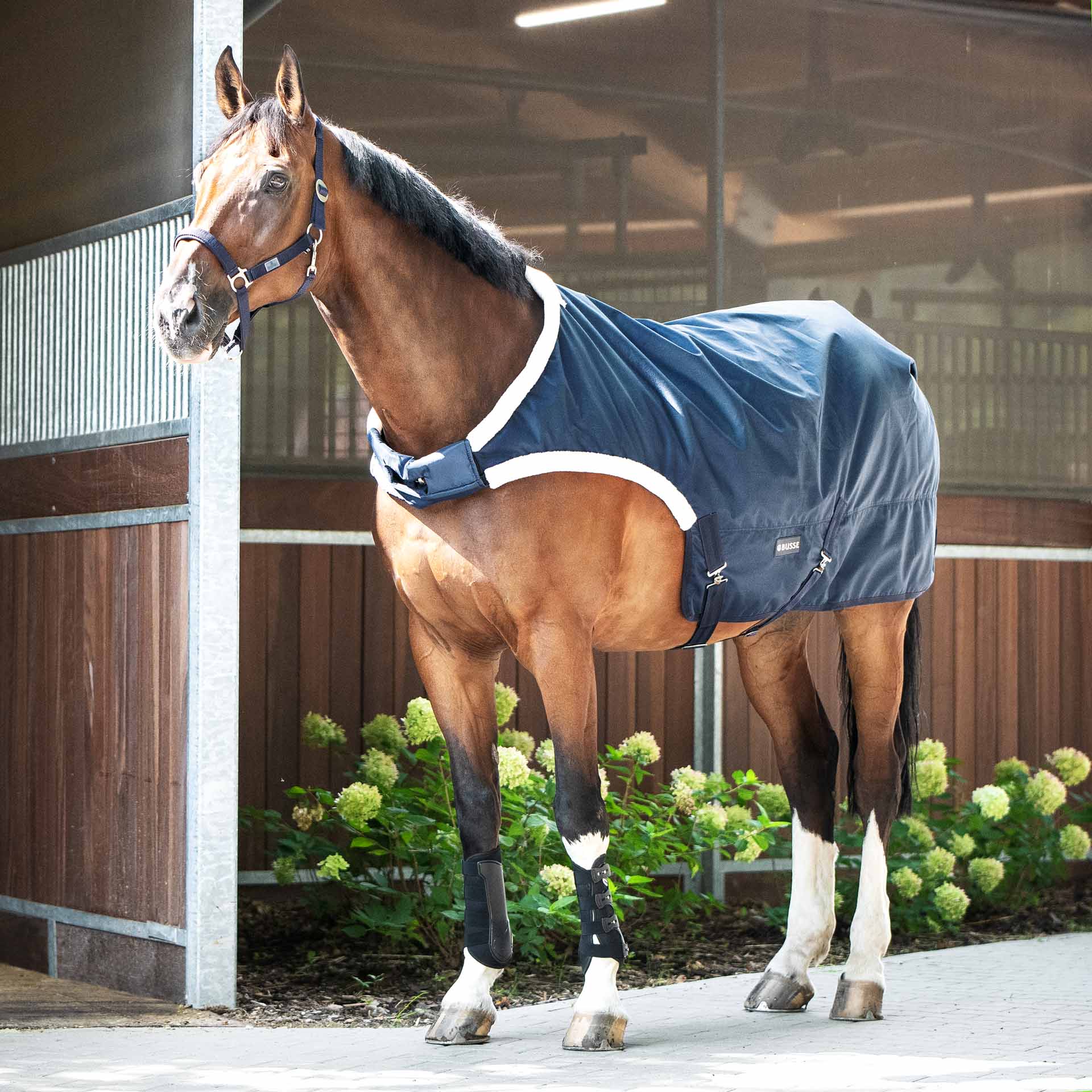 BUSSE Horse-Trainer Rug WALKING 100 125 navy
