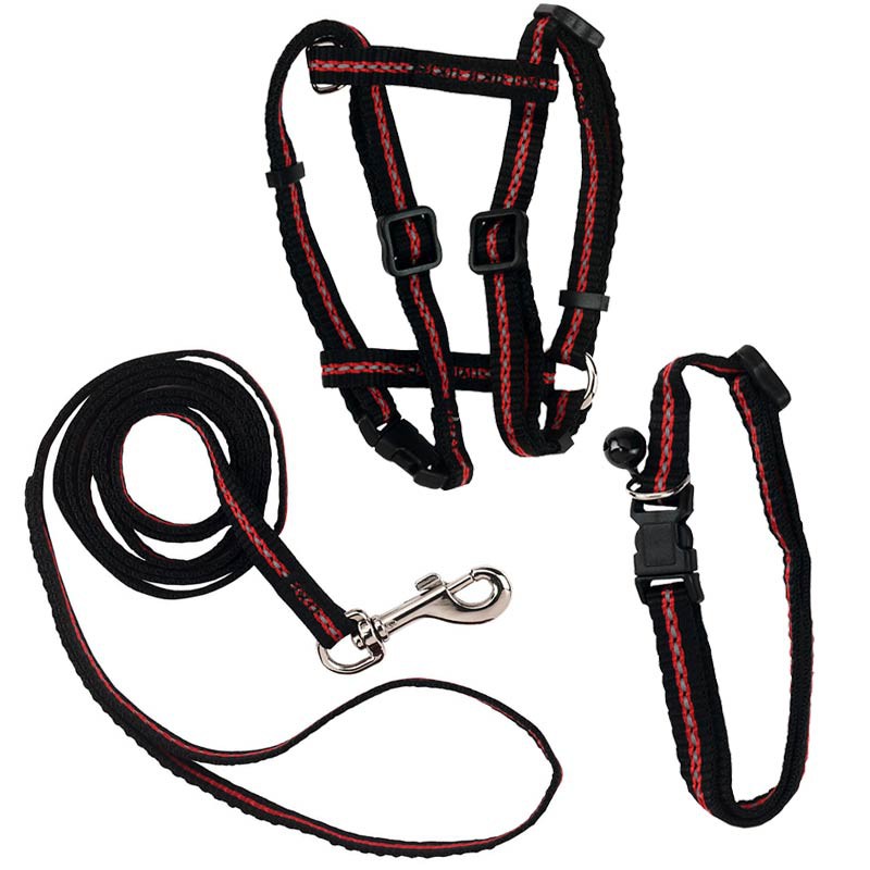 cat harness set, collar, harness+leash for cats, refl.