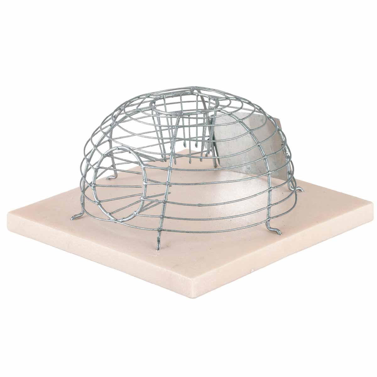 Cage Mouse Trap Alive