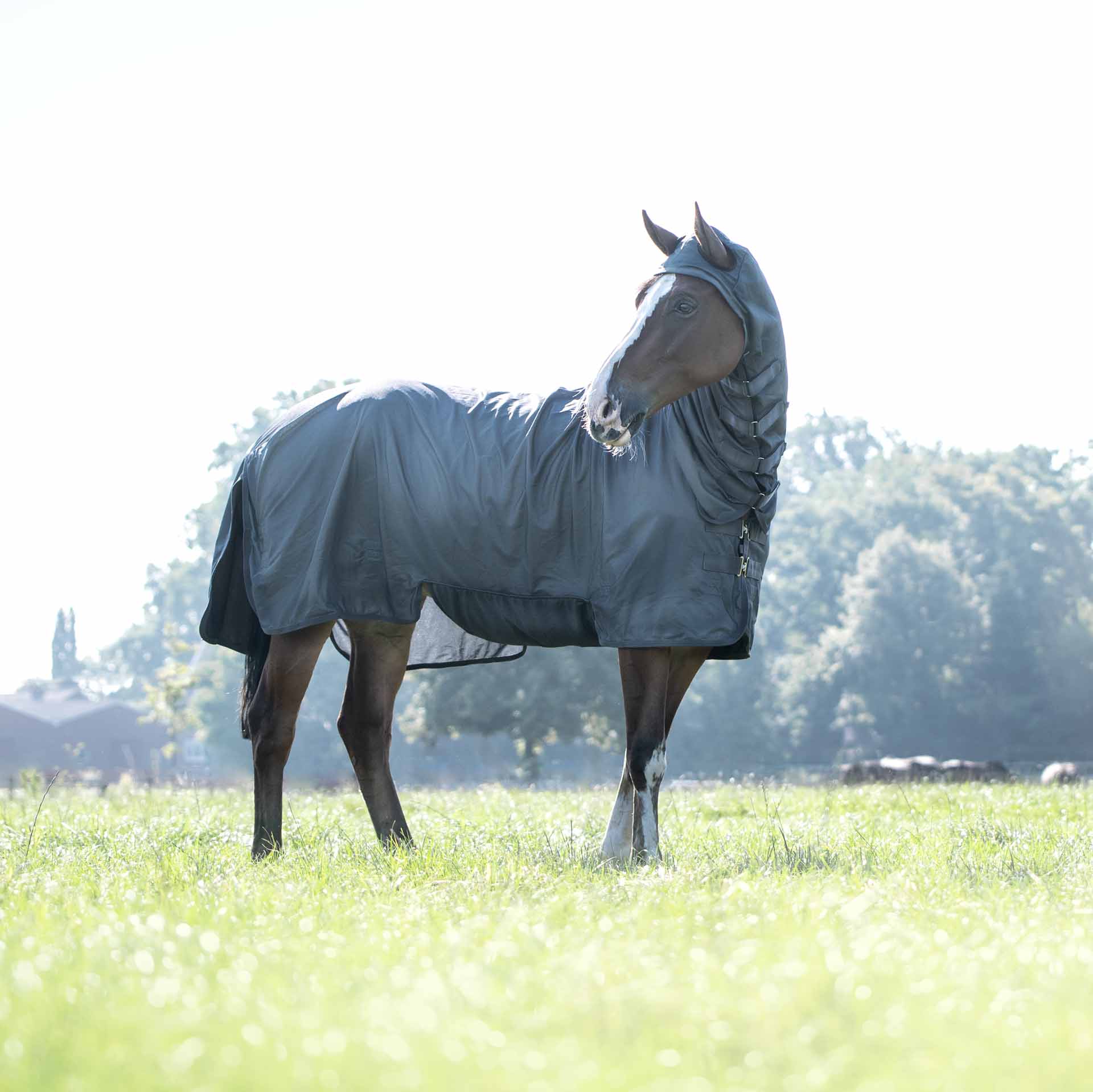 BUSSE Fly Sheet COMPLETE PLUS 135 anthracite