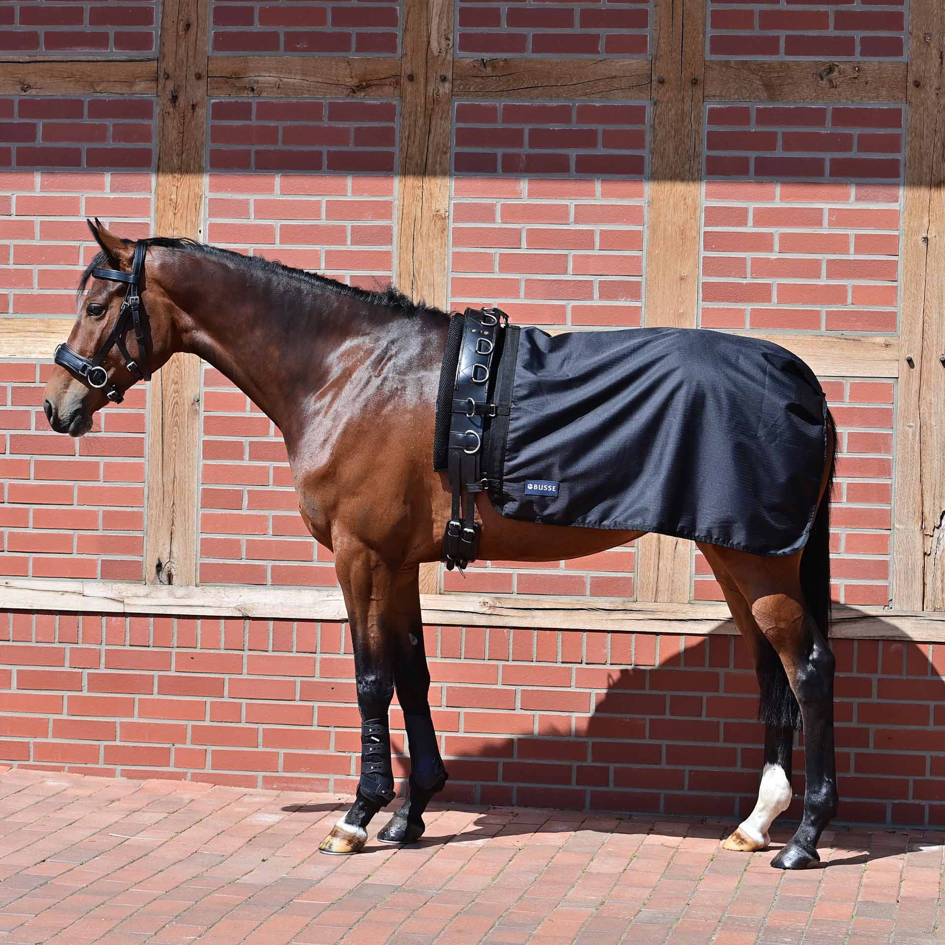 BUSSE Lunging Sheet RAIN 50 125 black