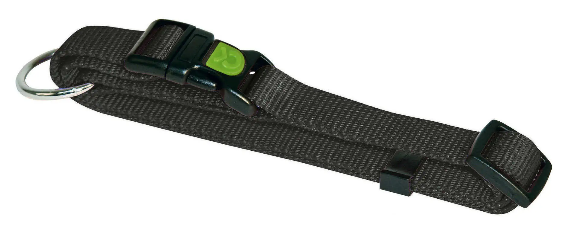 Dog Collar Miami adjustable