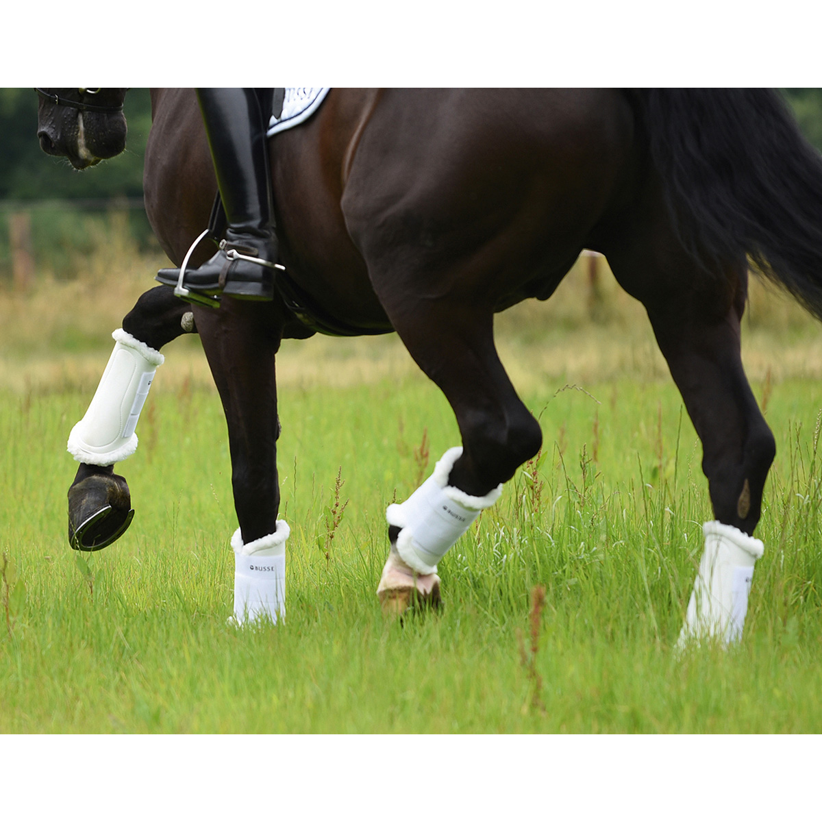 BUSSE Tendon Boots ART-FUR