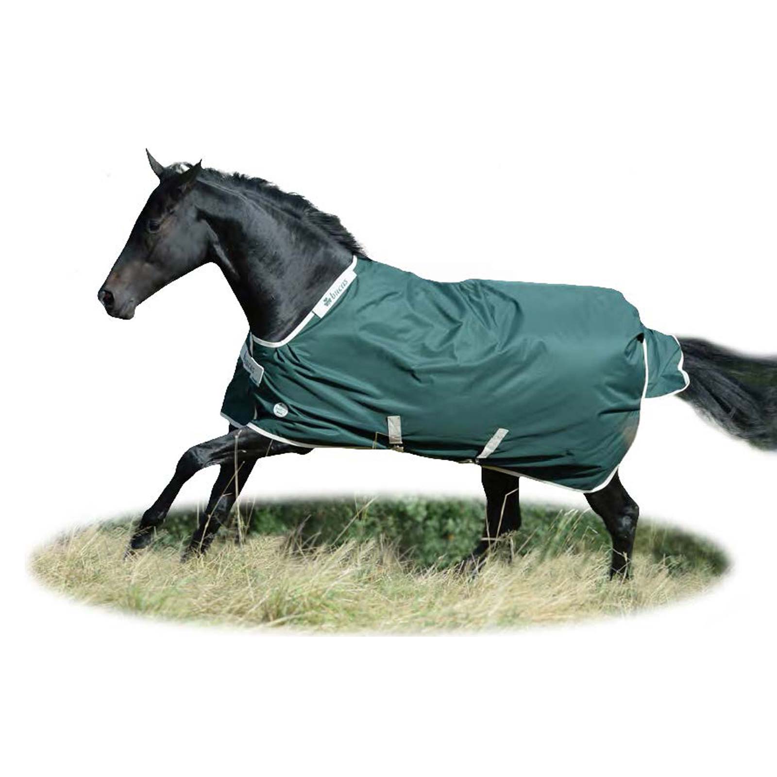 Bucas Greenline Turnout Rug 100g