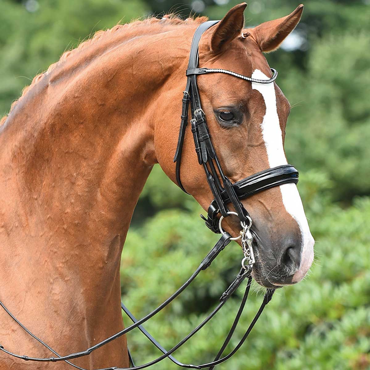 BUSSE Double Bridle MAILAND