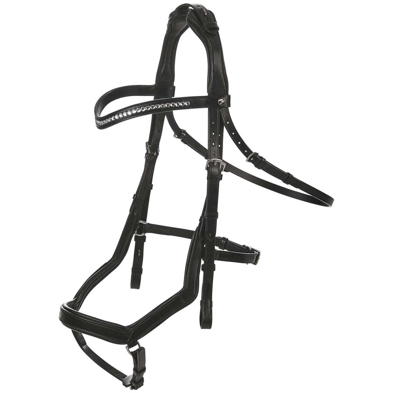 BUSSE Bridle Modena