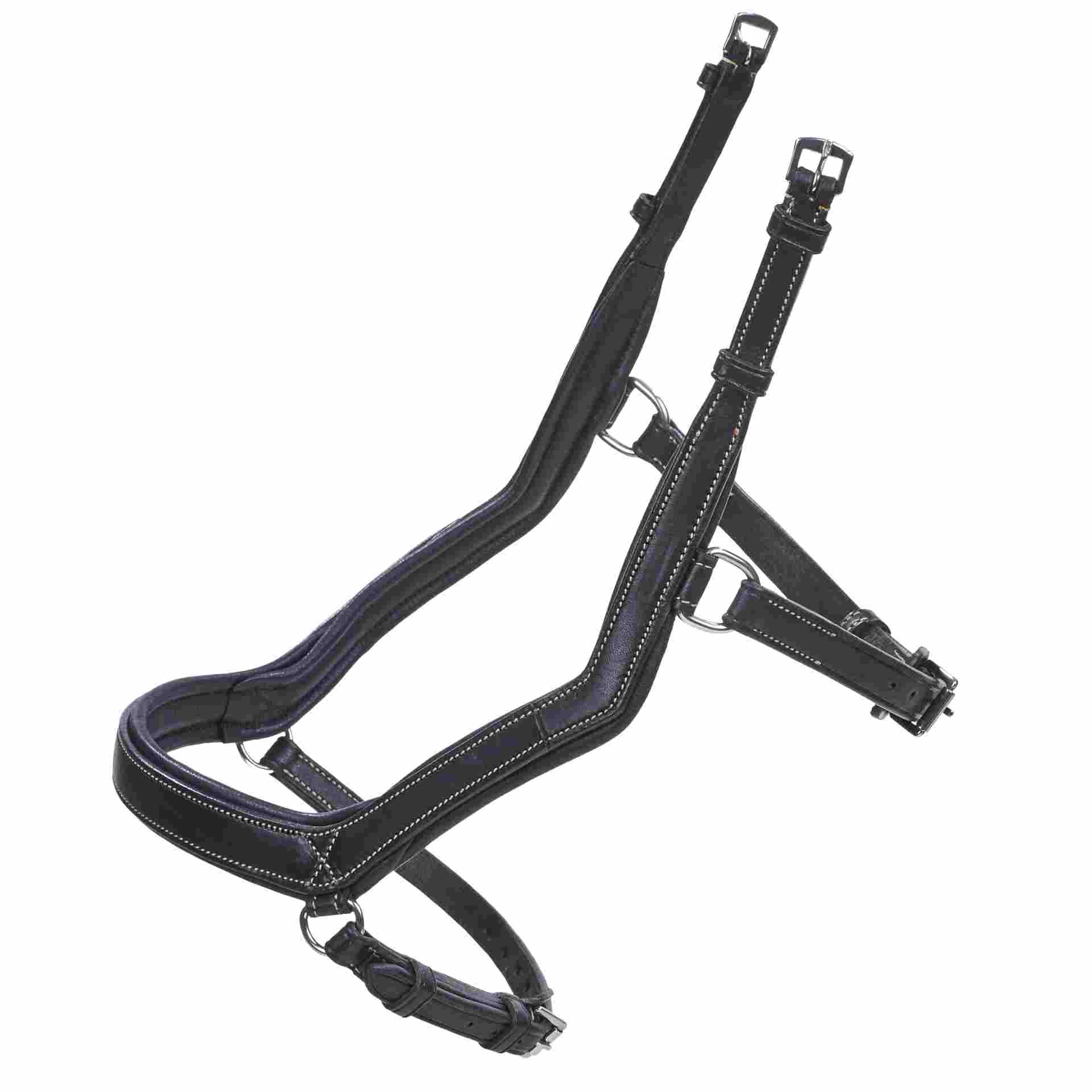 BUSSE Anatomical Noseband TAKE-OFF LINE AN COB black