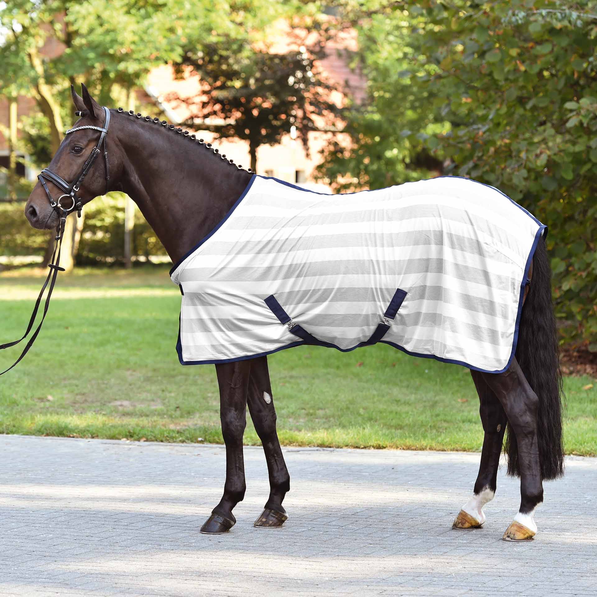 BUSSE Transport Fly Sheet STRIPE 85 silver