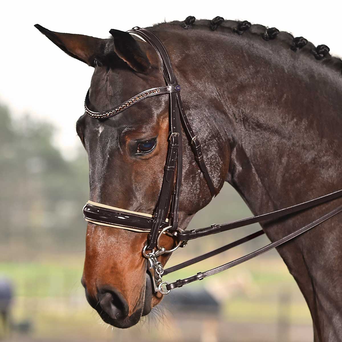 BUSSE Double Bridle LUXURY