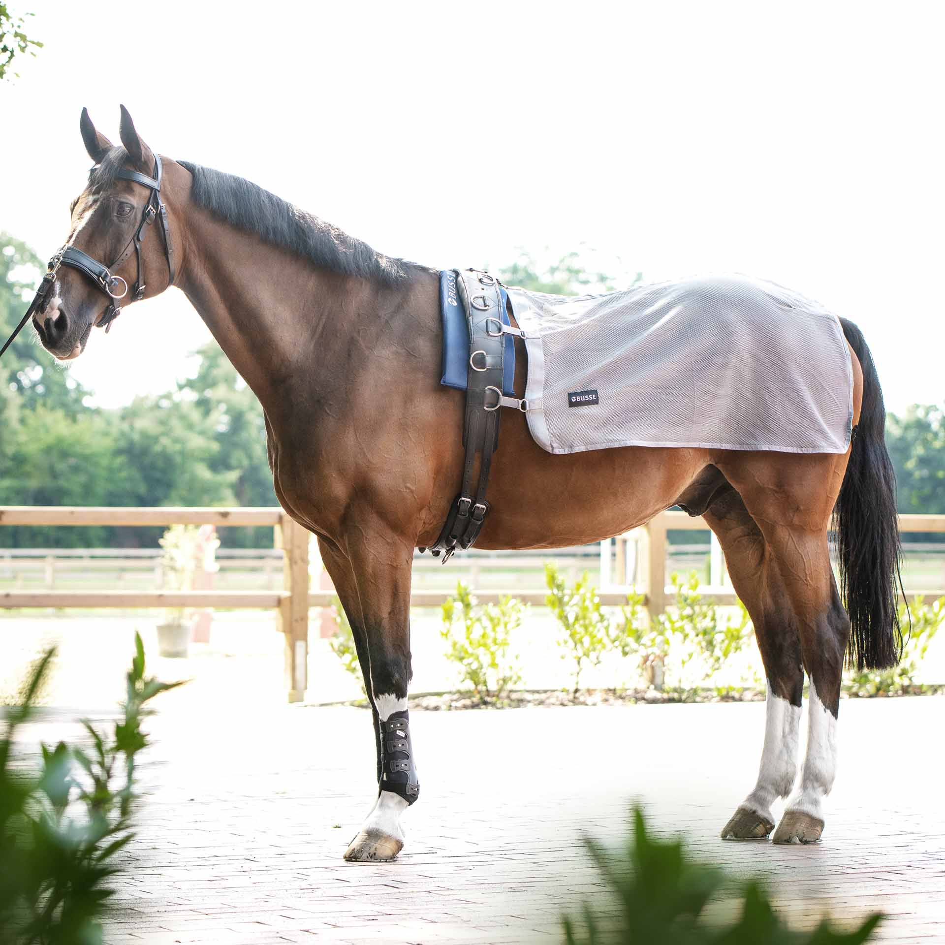 BUSSE Lunging Sheet FLY 125 gray
