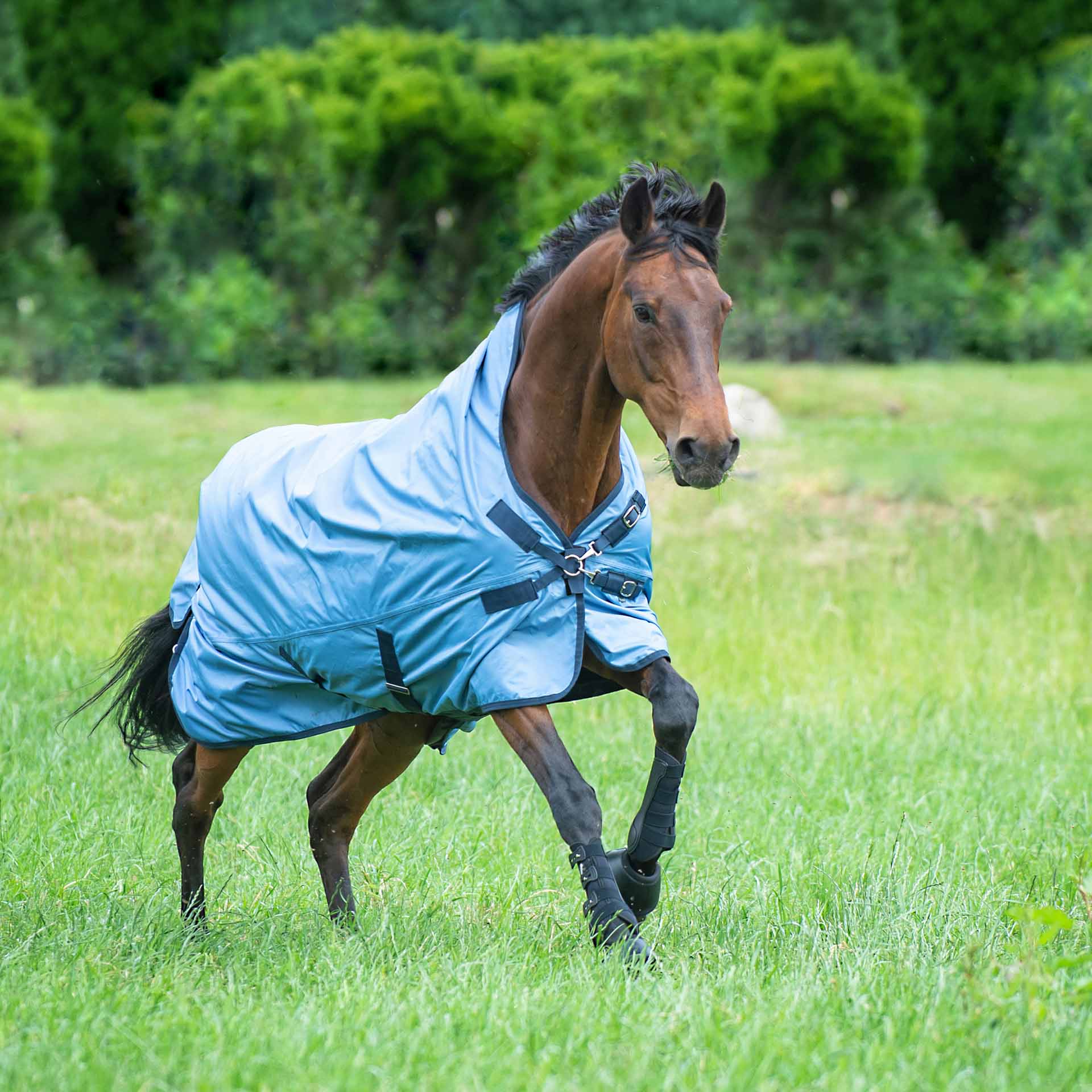 BUSSE Turnout Rug RAIN-DEAR 00 115 ice blue/navy
