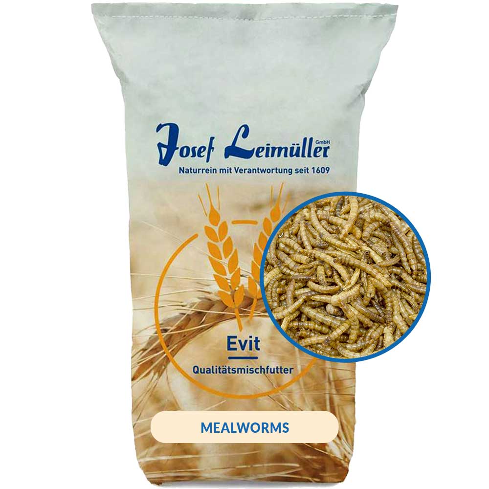 Leimüller Mealworms dried