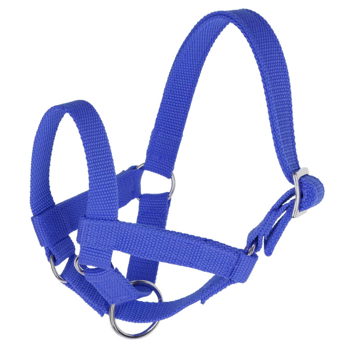 Lama halter size 60