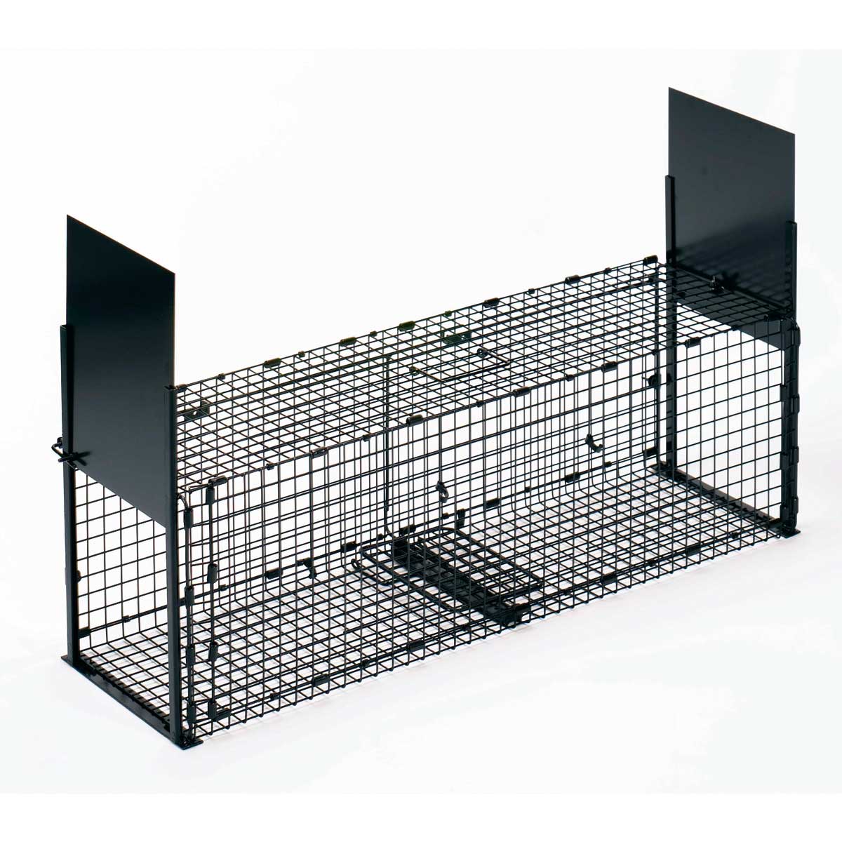 Foldable Box Trap