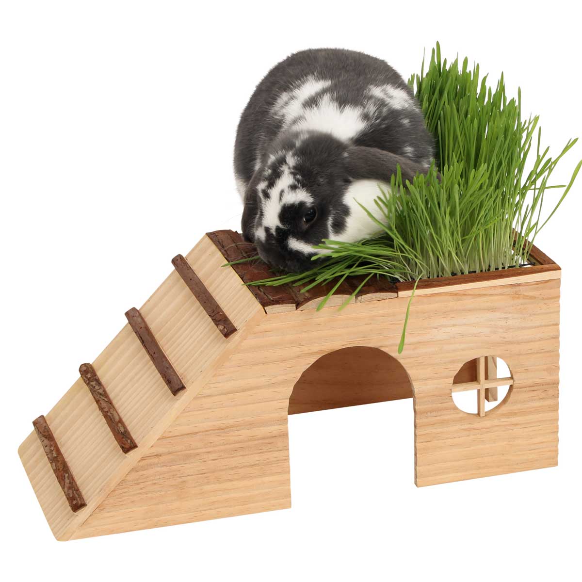 Rodent cabin with ramp Nature 22 x 48 cm