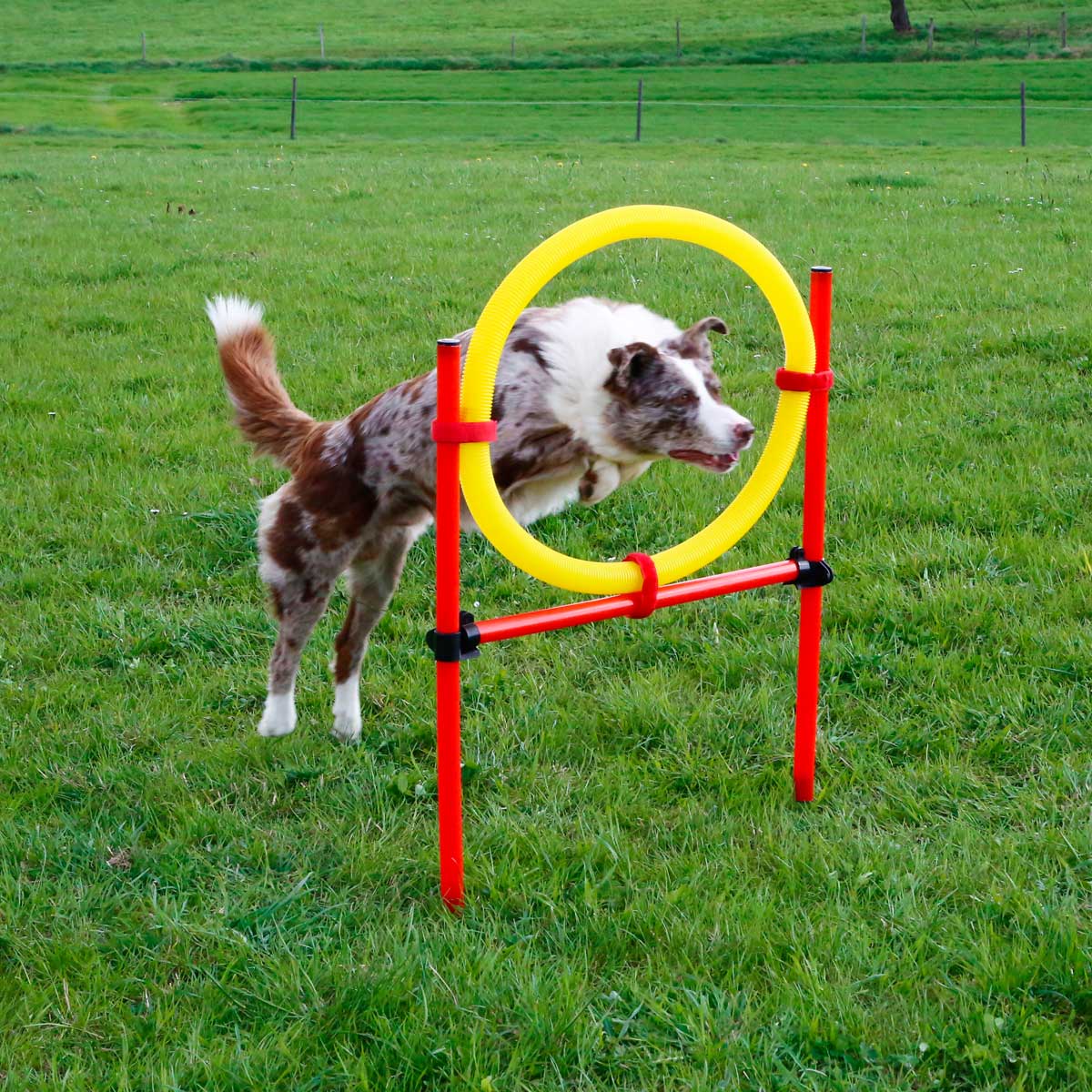 Agility complete set 3 parts, red/yellow