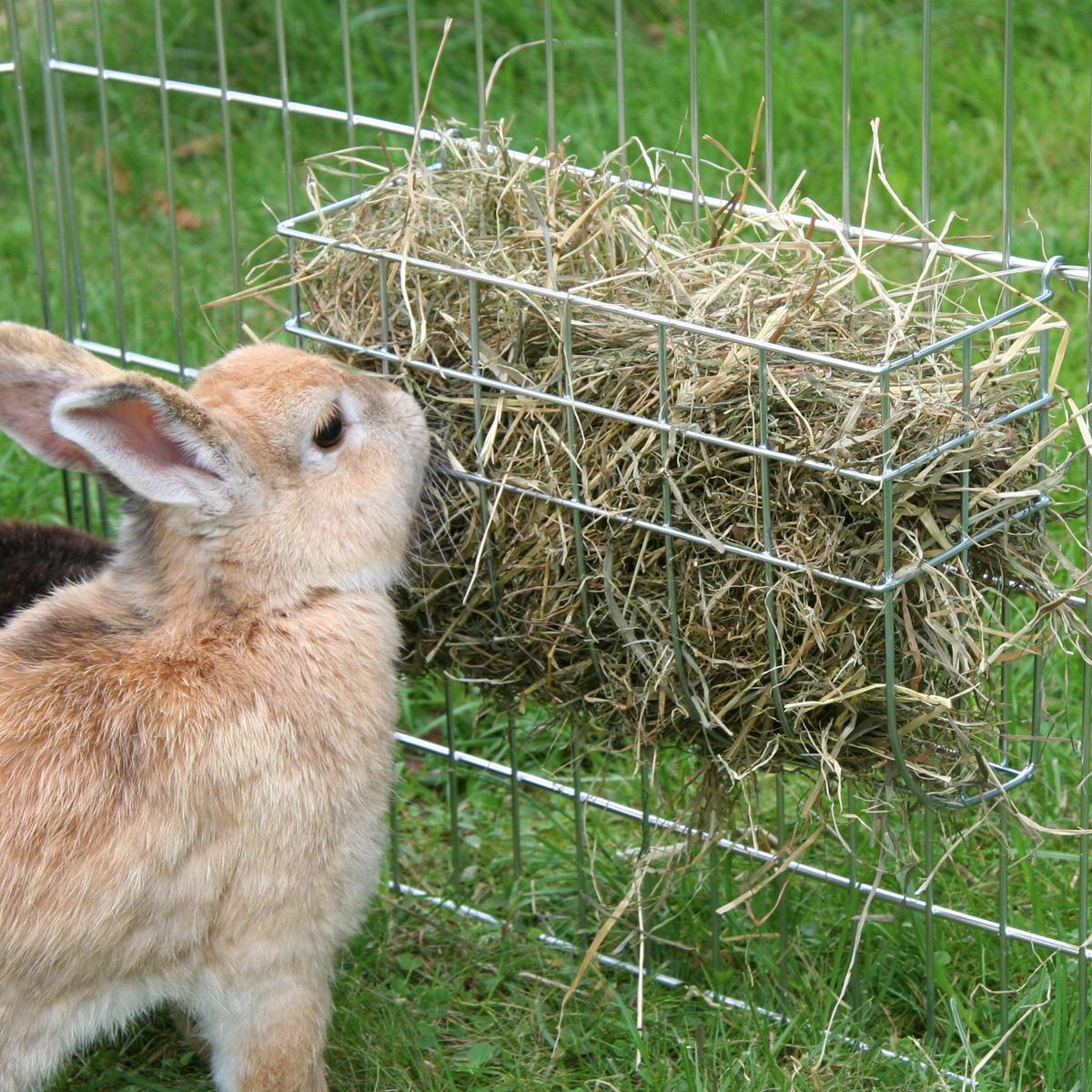 Hay Rack 17x13cm, galvanised hangs in cage bars