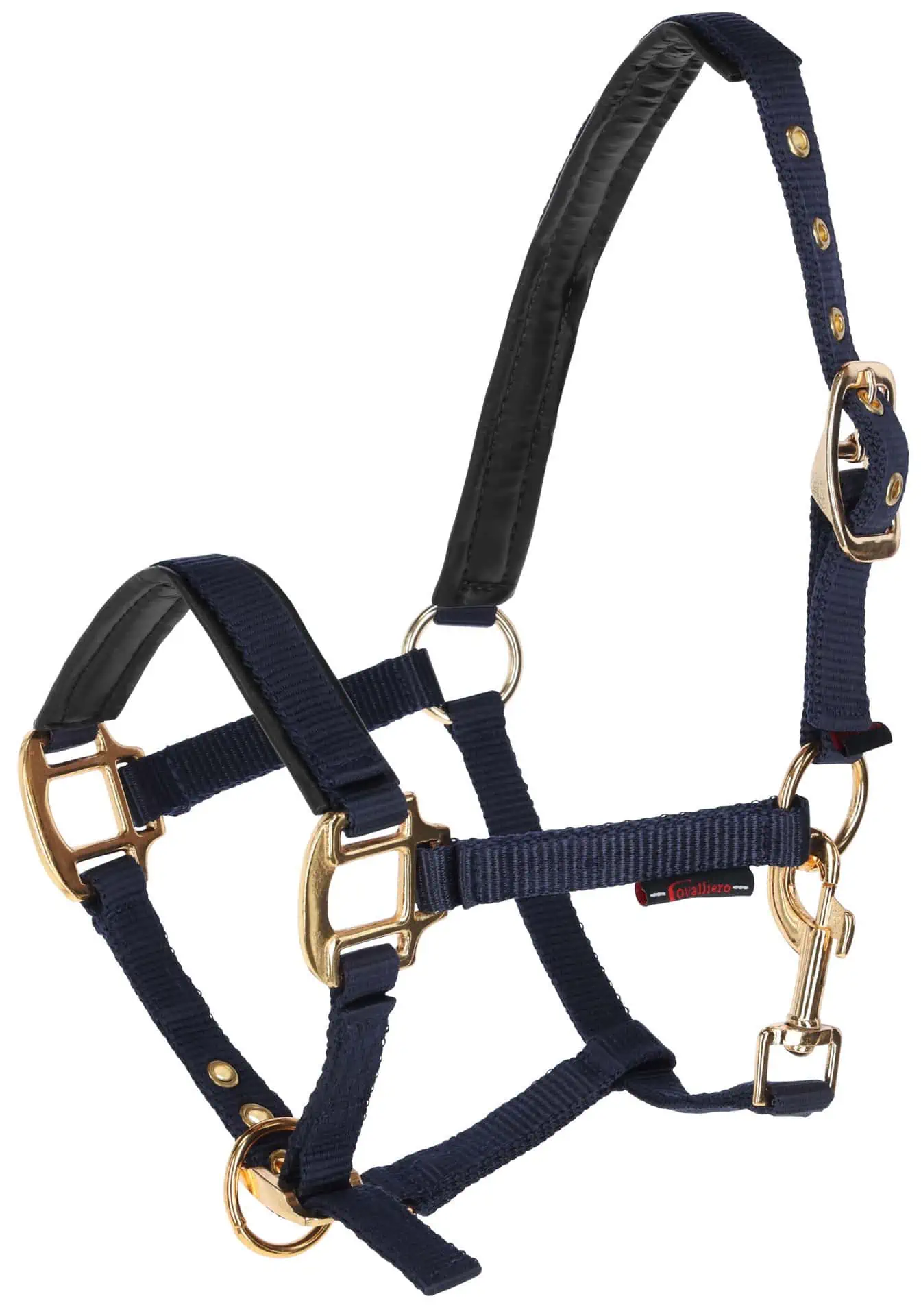 Foal Halter TopLine