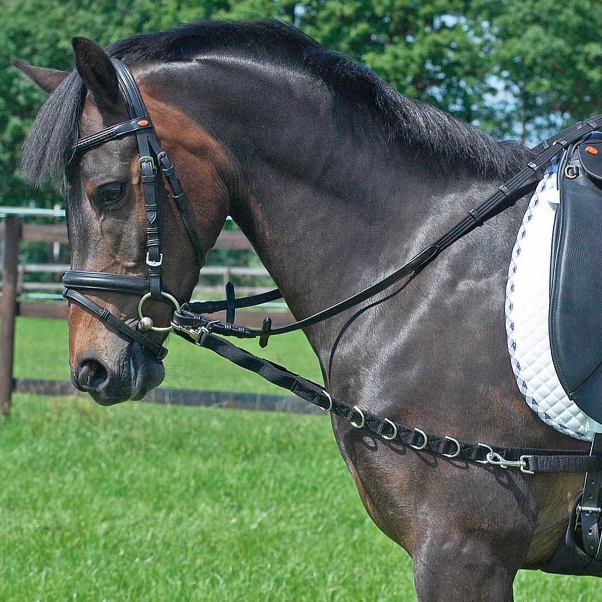 Side-Reins OESEN-ELASTIK