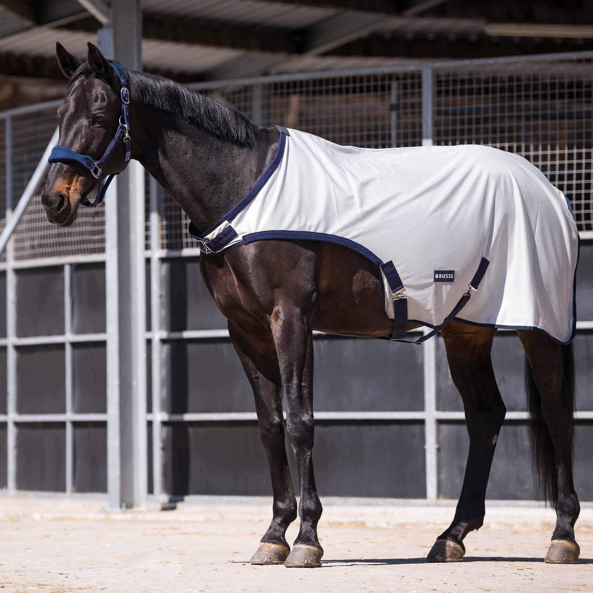 BUSSE Horse-Trainer Rug FLY COMFORT 125 silver