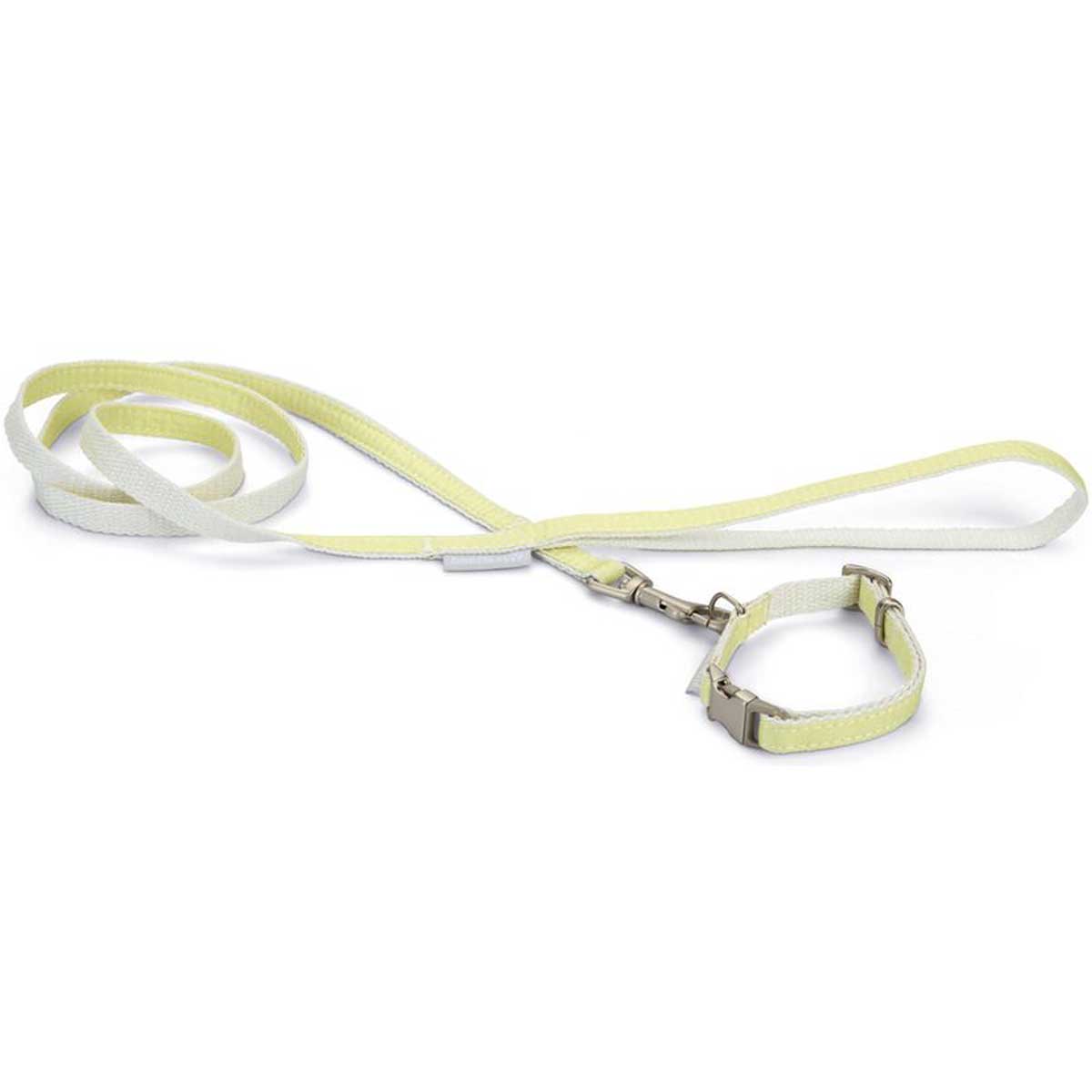 Beeztees Puppy Set, Collar & Leash