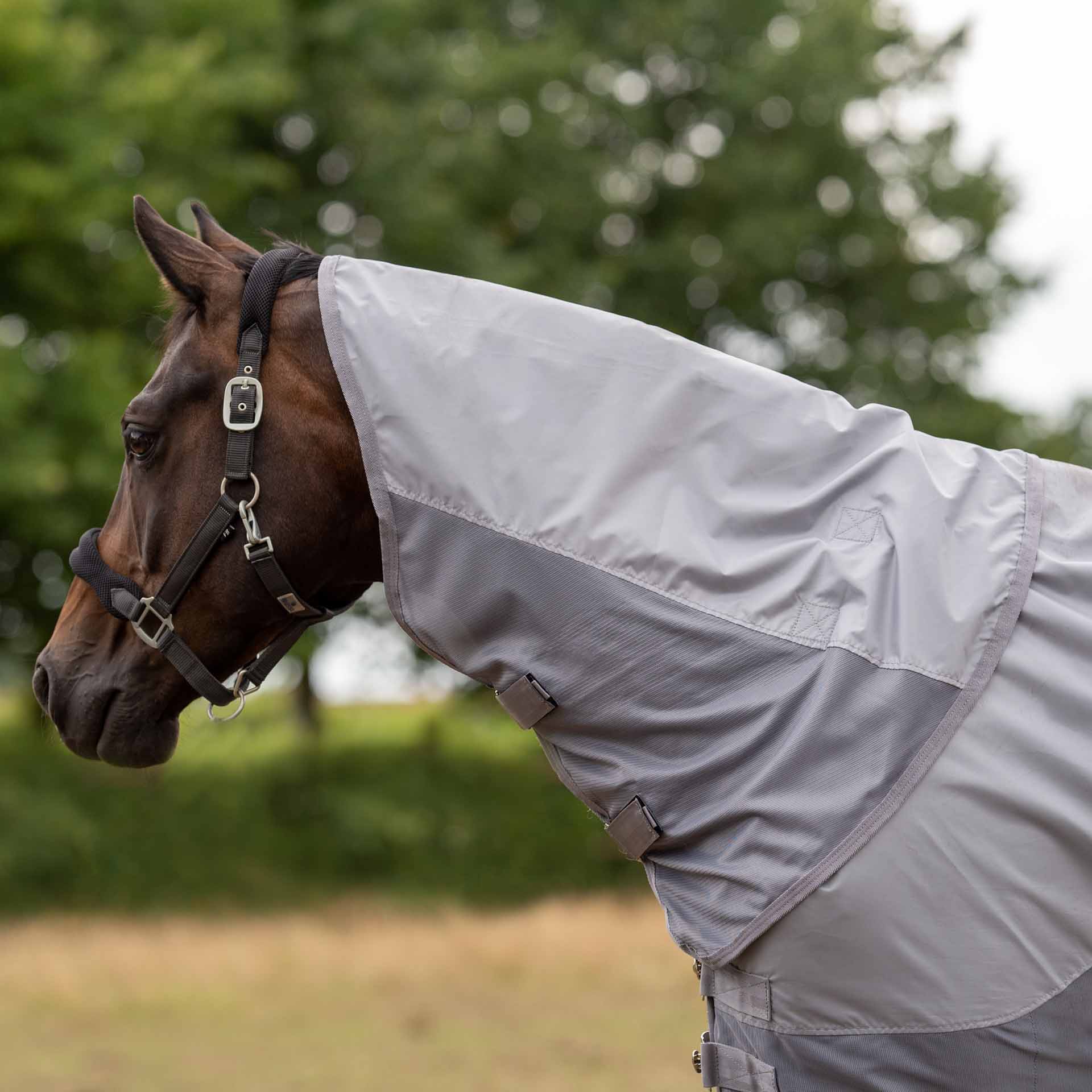 BUSSE Neck Cover RAINFLY S gray