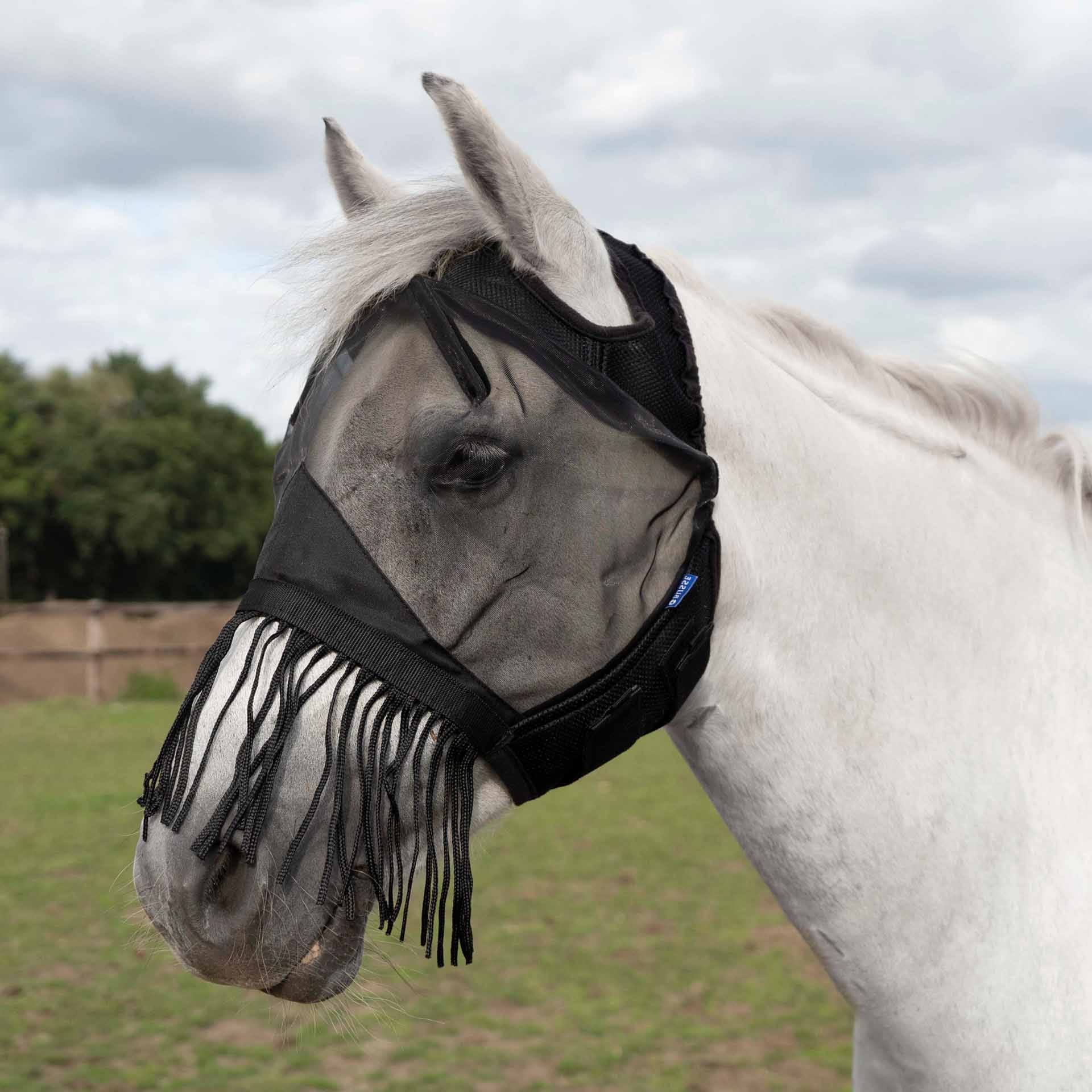 BUSSE Fly Mask FLY COVER FRANSEN GAP Shetty black