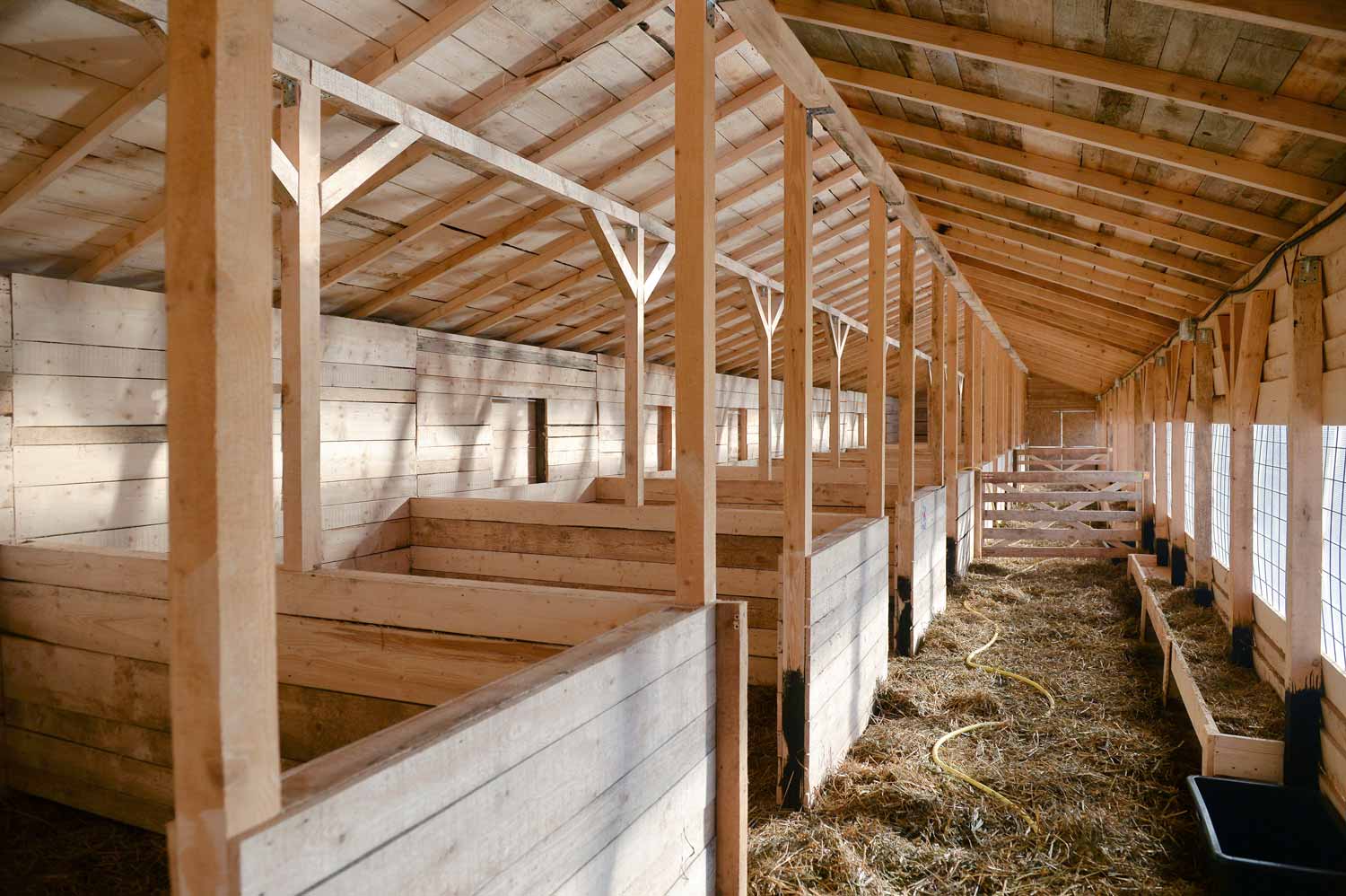 Stable Equipment