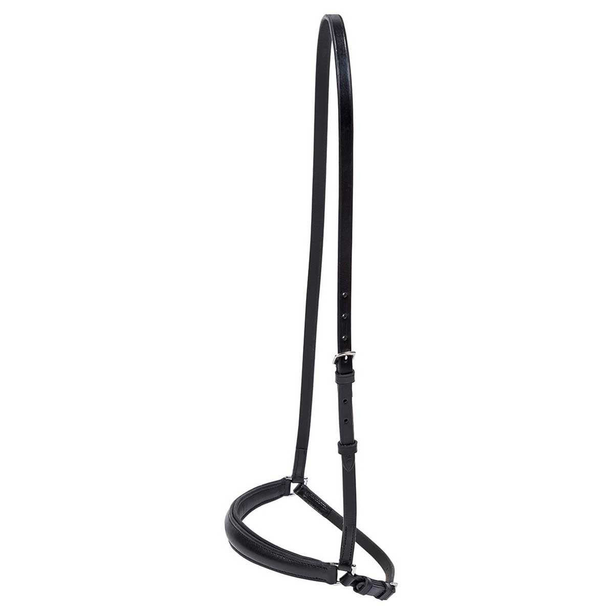 BUSSE Dropped Noseband HANNOVER