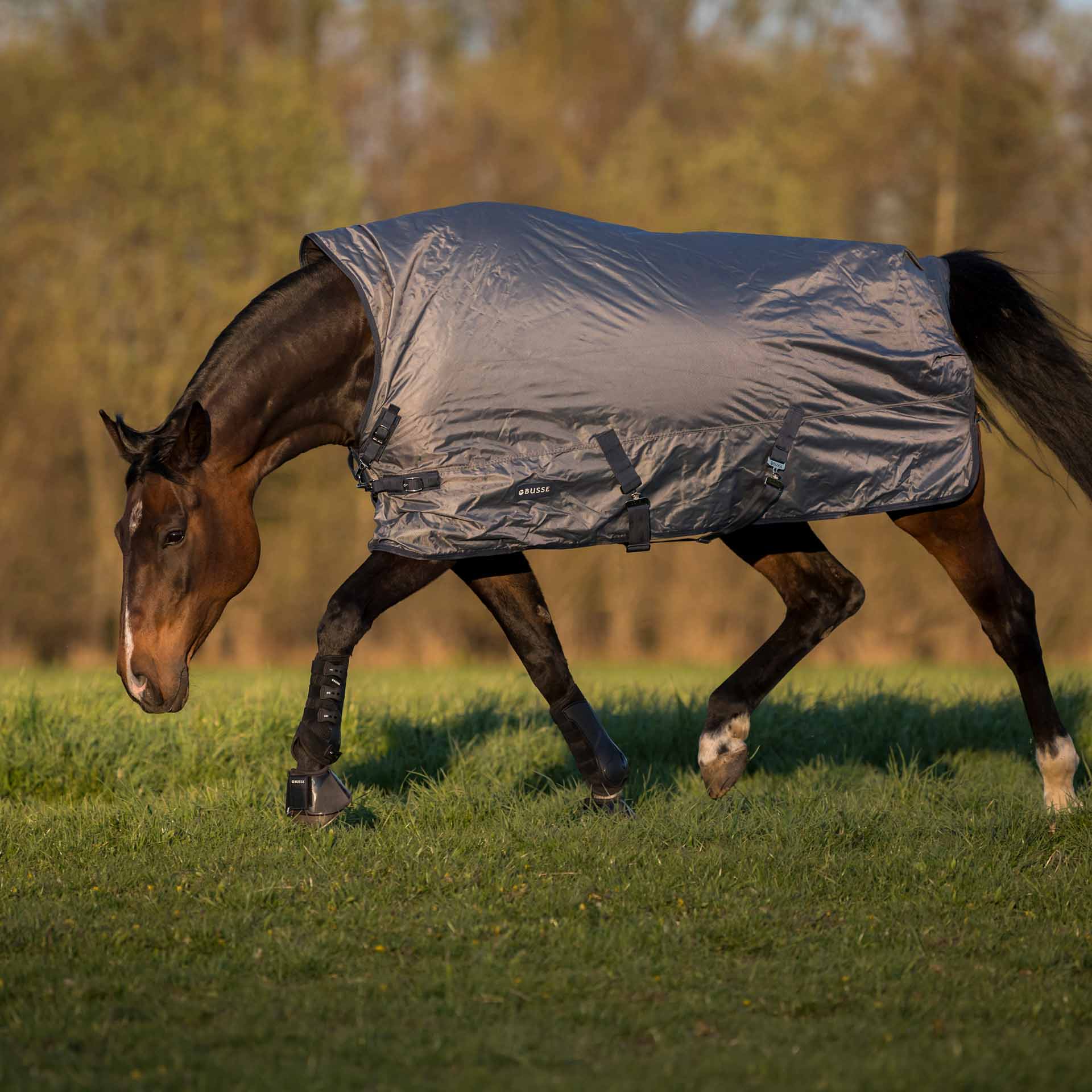 BUSSE Turnout Rug RAIN-DEAR 100 115 gray/navy