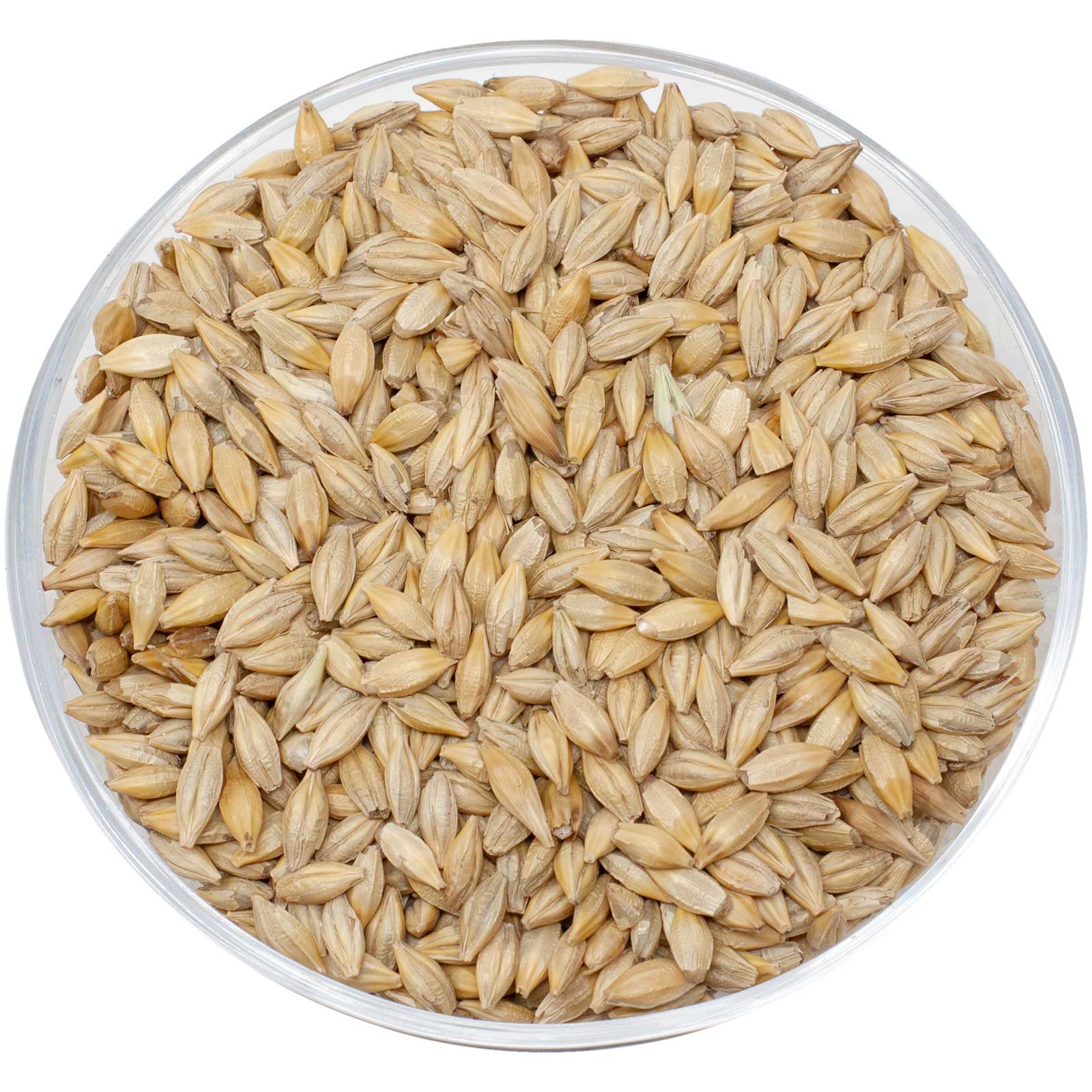 Leimüller Malting Barley