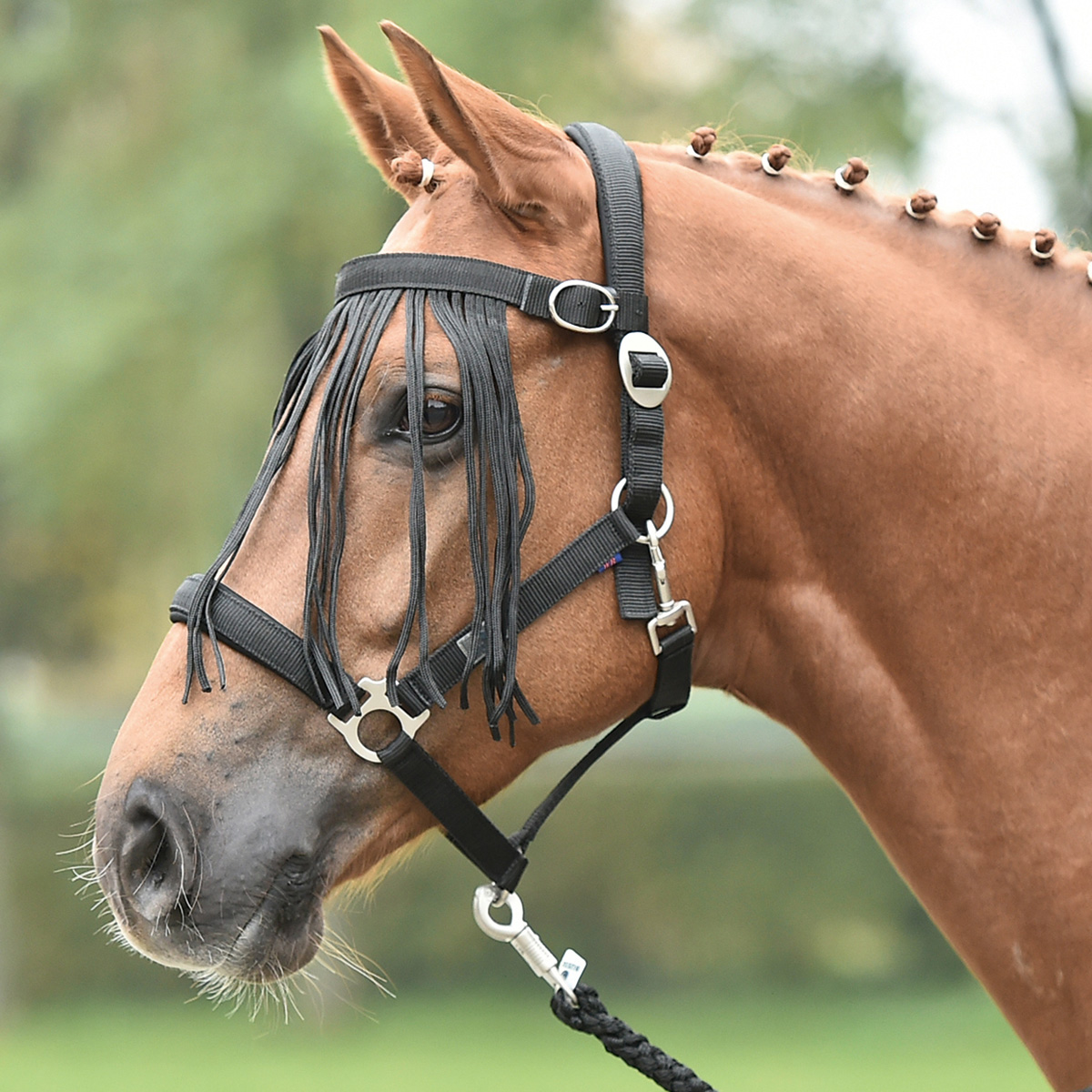 BUSSE Flystring Browband TAMPERE