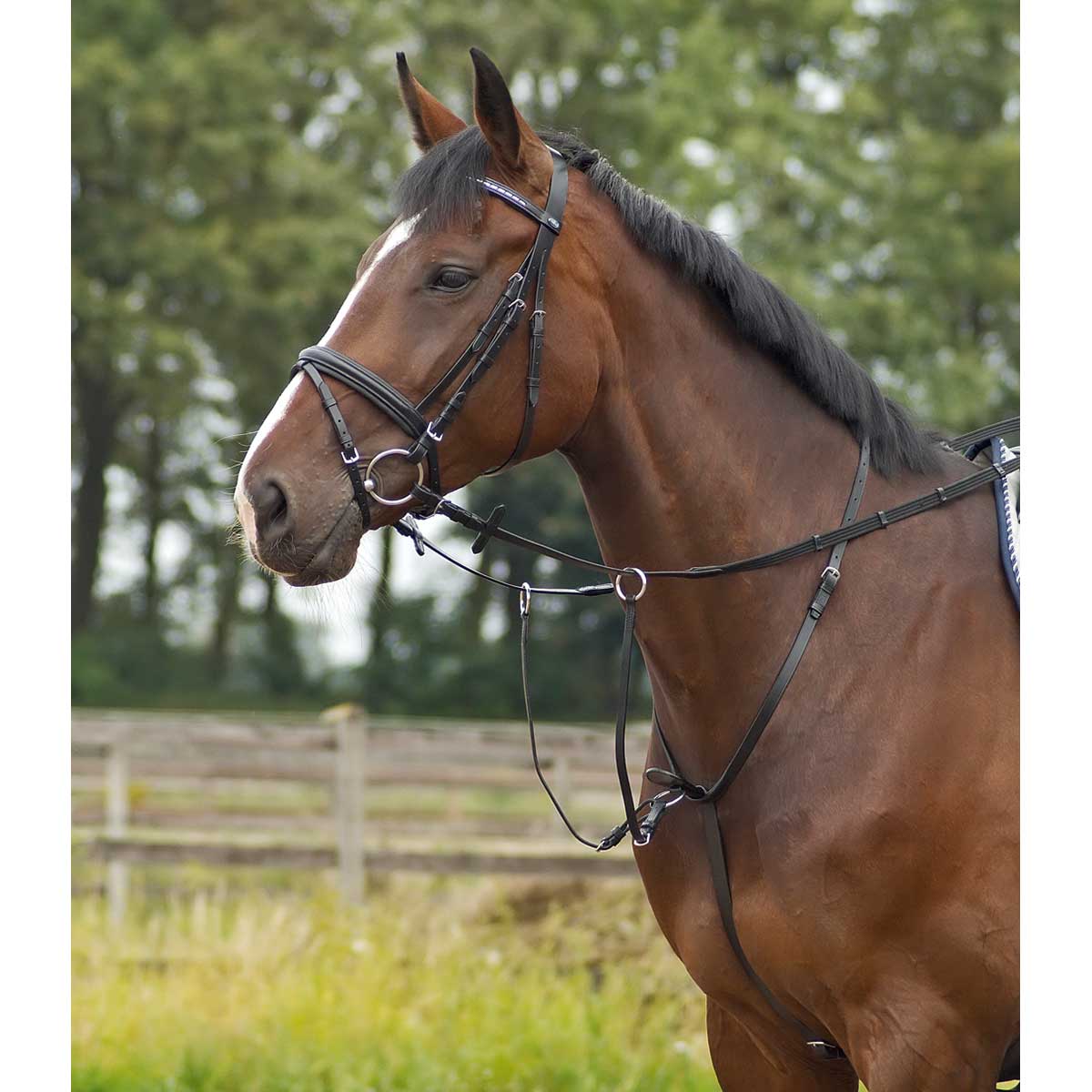 BUSSE Martingale BASIC-PRO