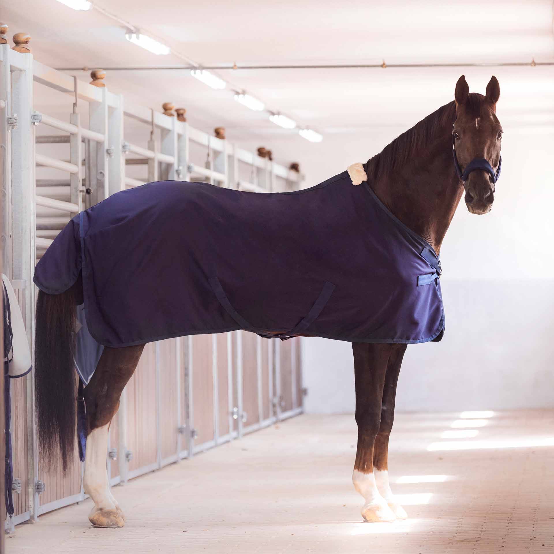 BUSSE Summer Rug EARLY SEASON 115 navy
