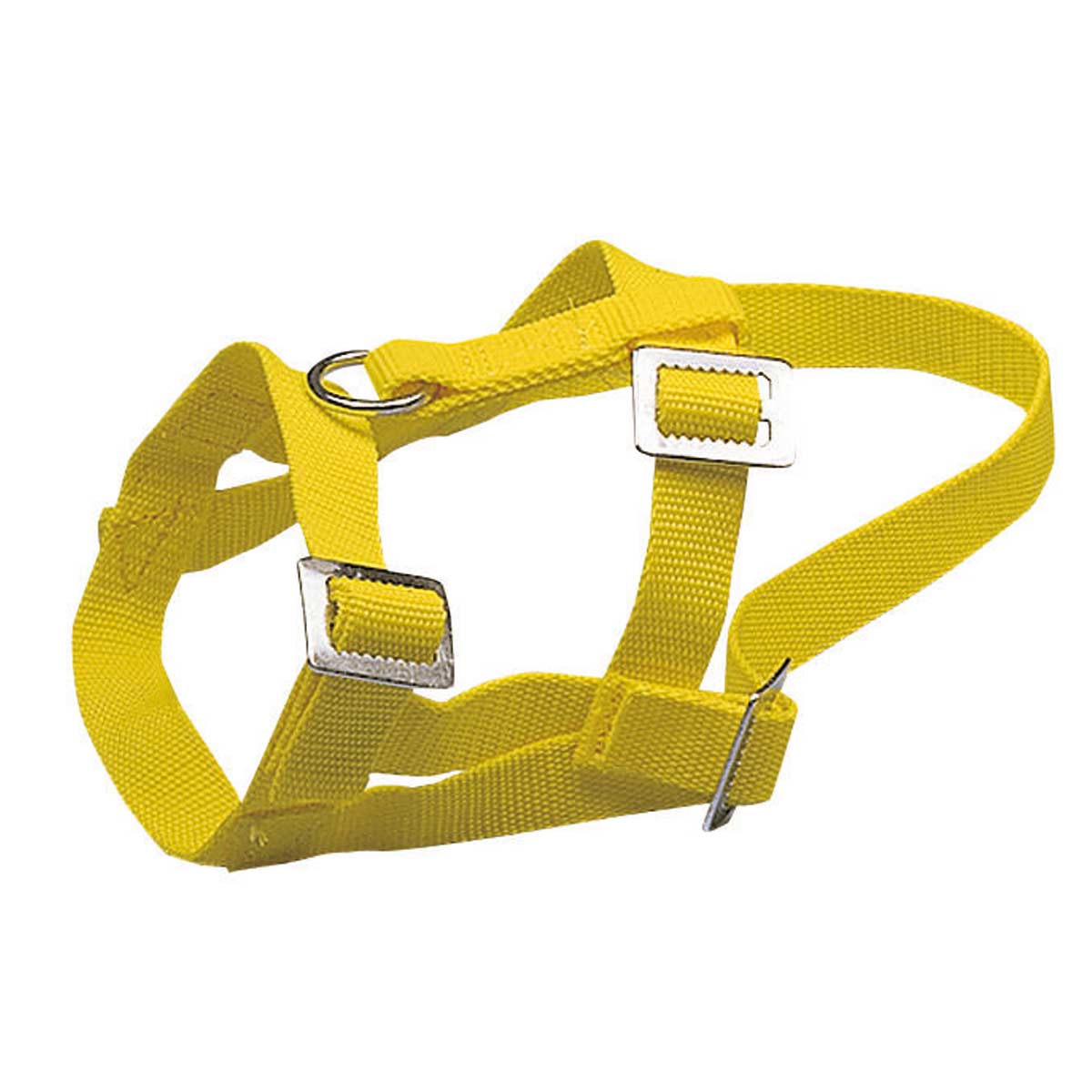 Sheep and Ram Halter yellow