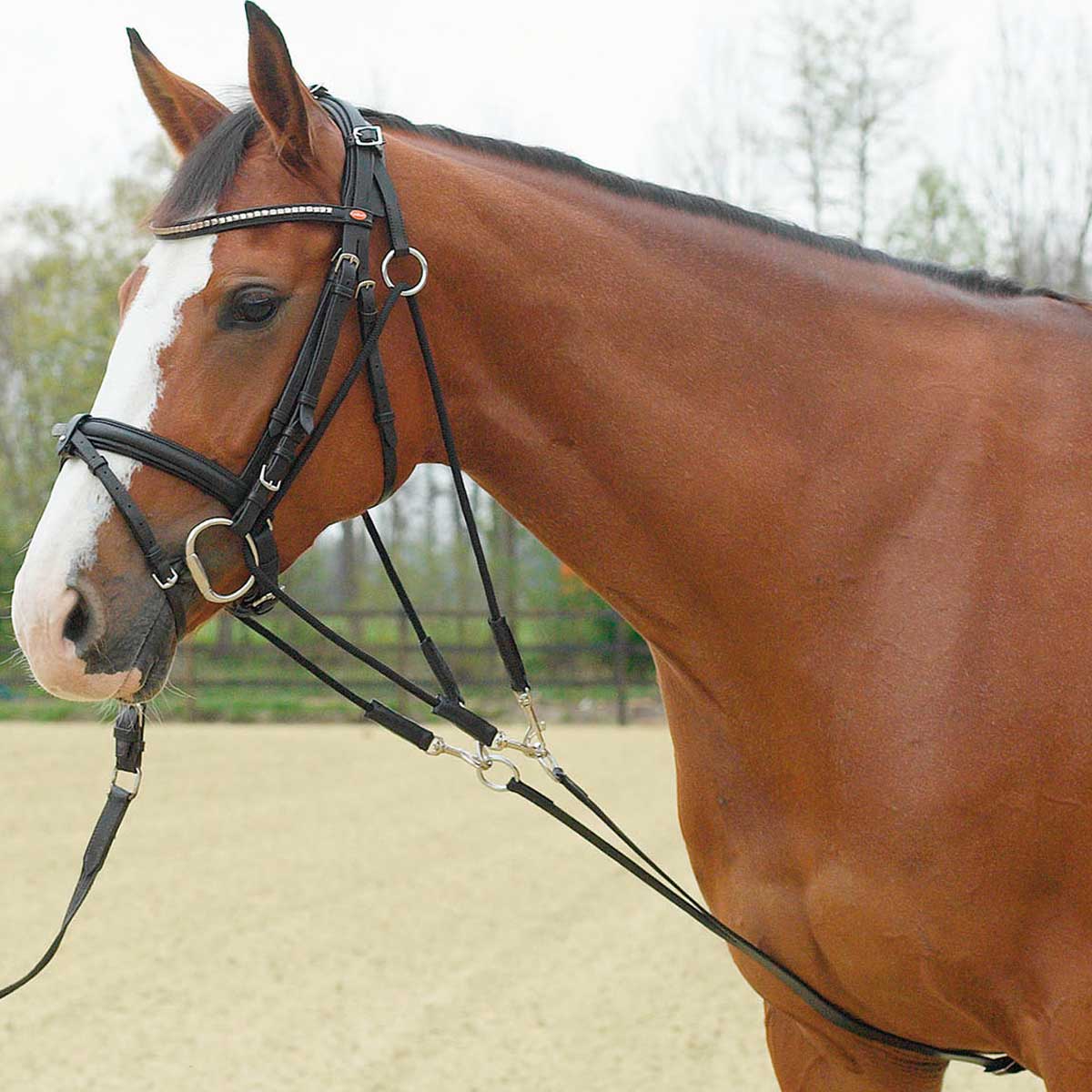 BUSSE Gogue BASIC