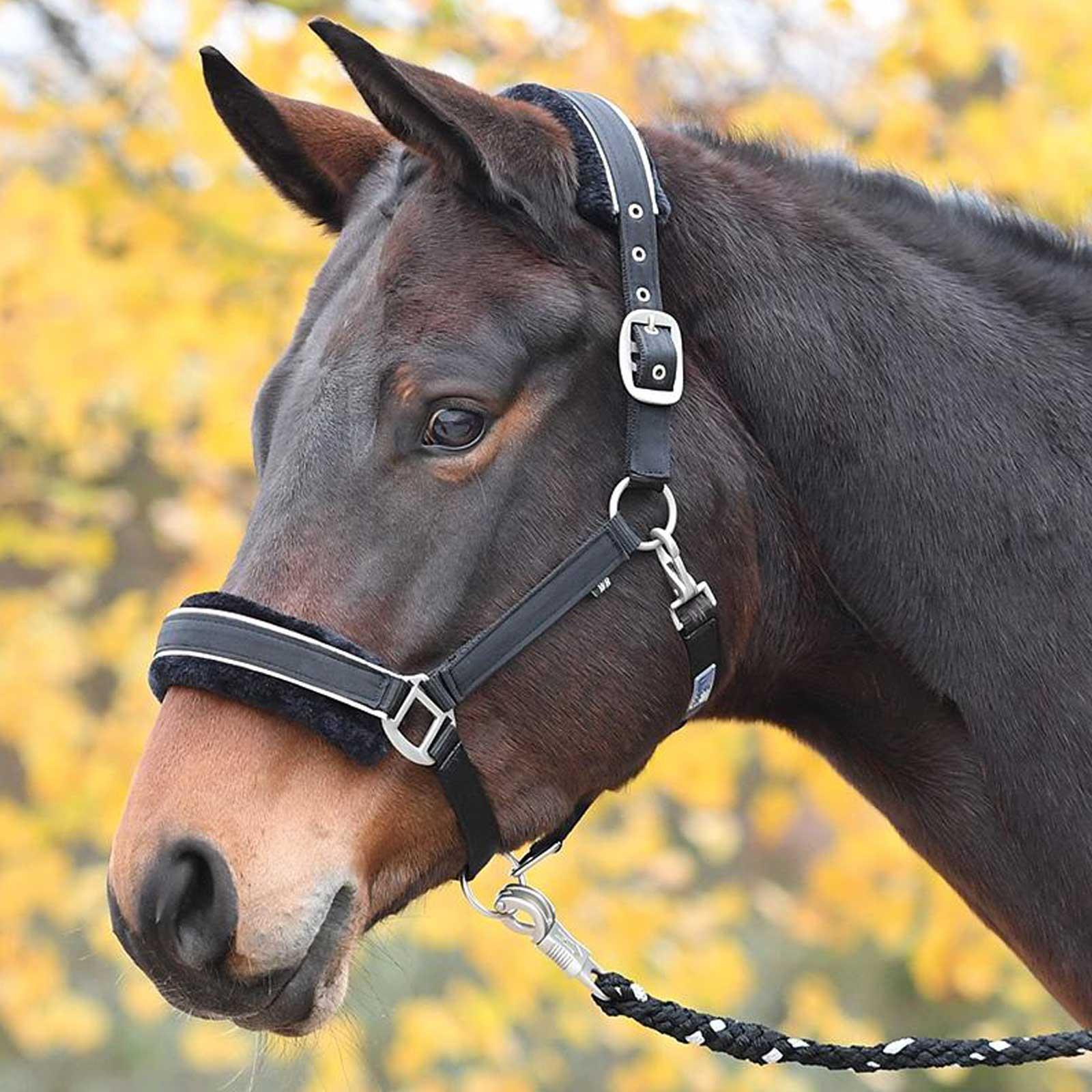 BUSSE Halter ideal