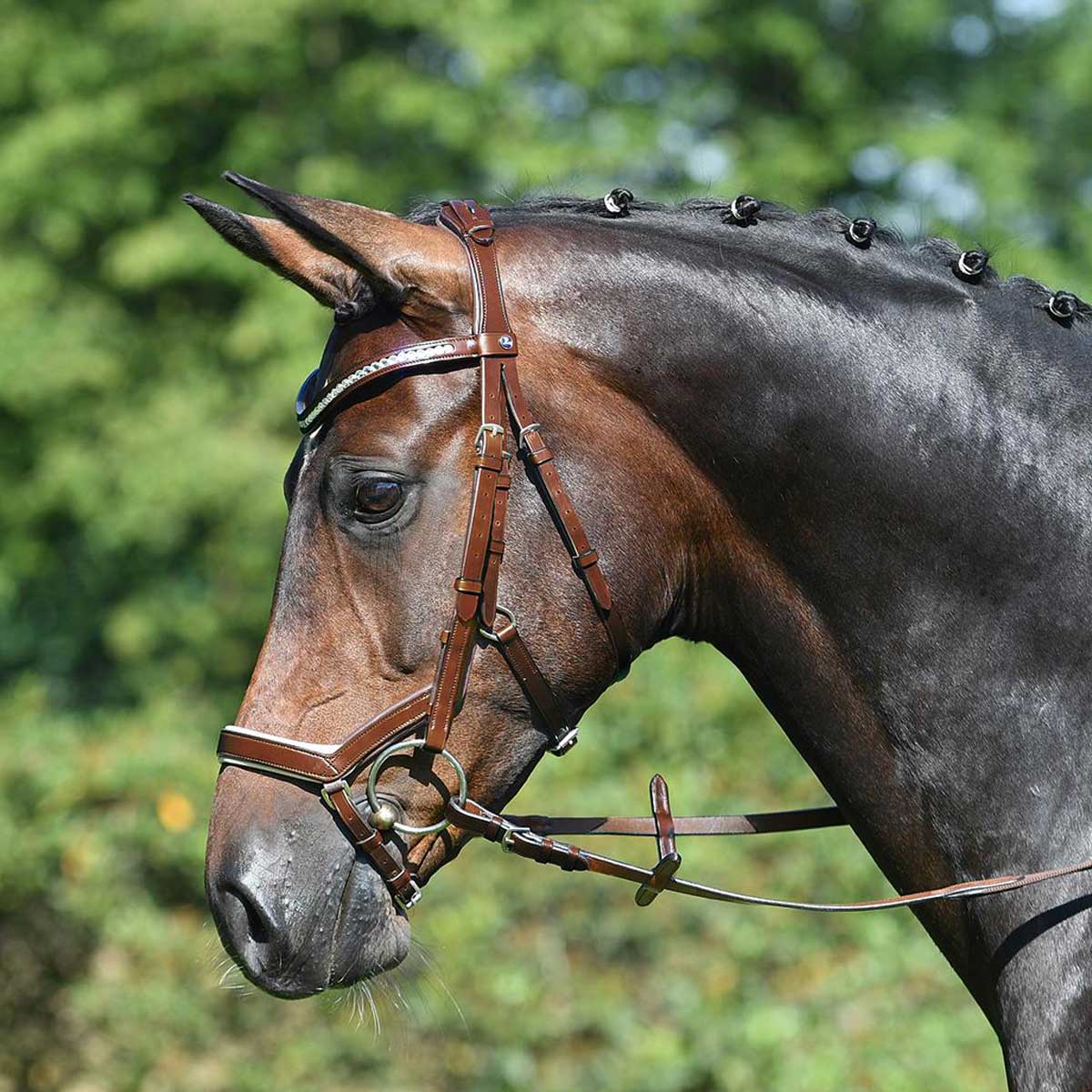 BUSSE Bridle Modena hazel/kristall FULL