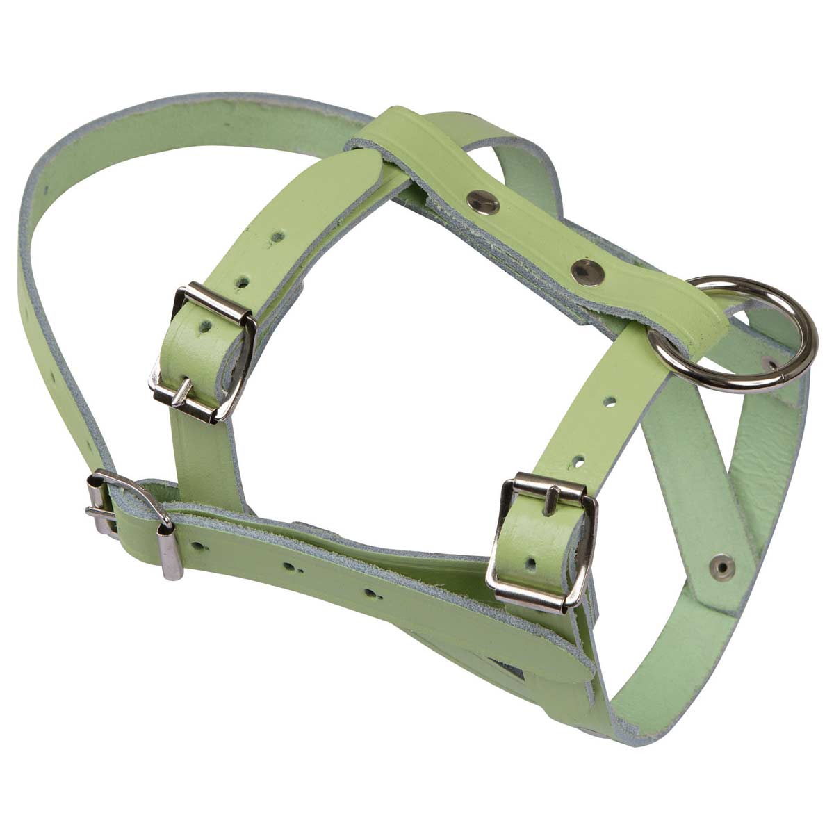 Sheep and Ram Halter
