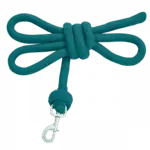 petrol