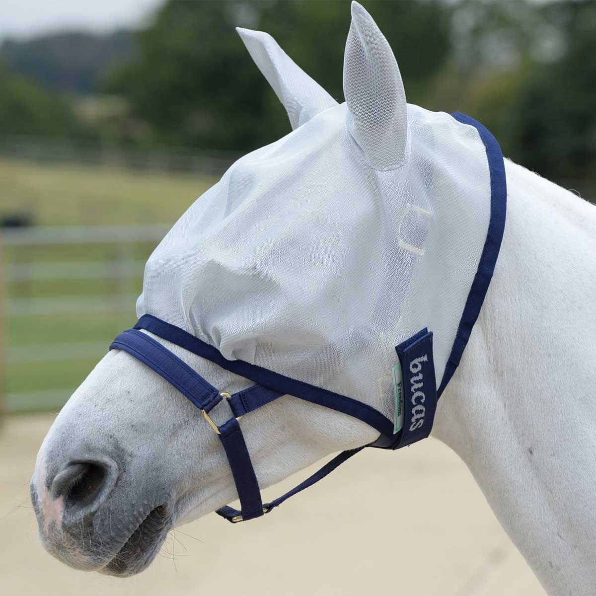 Bucas Freedom Fly Mask